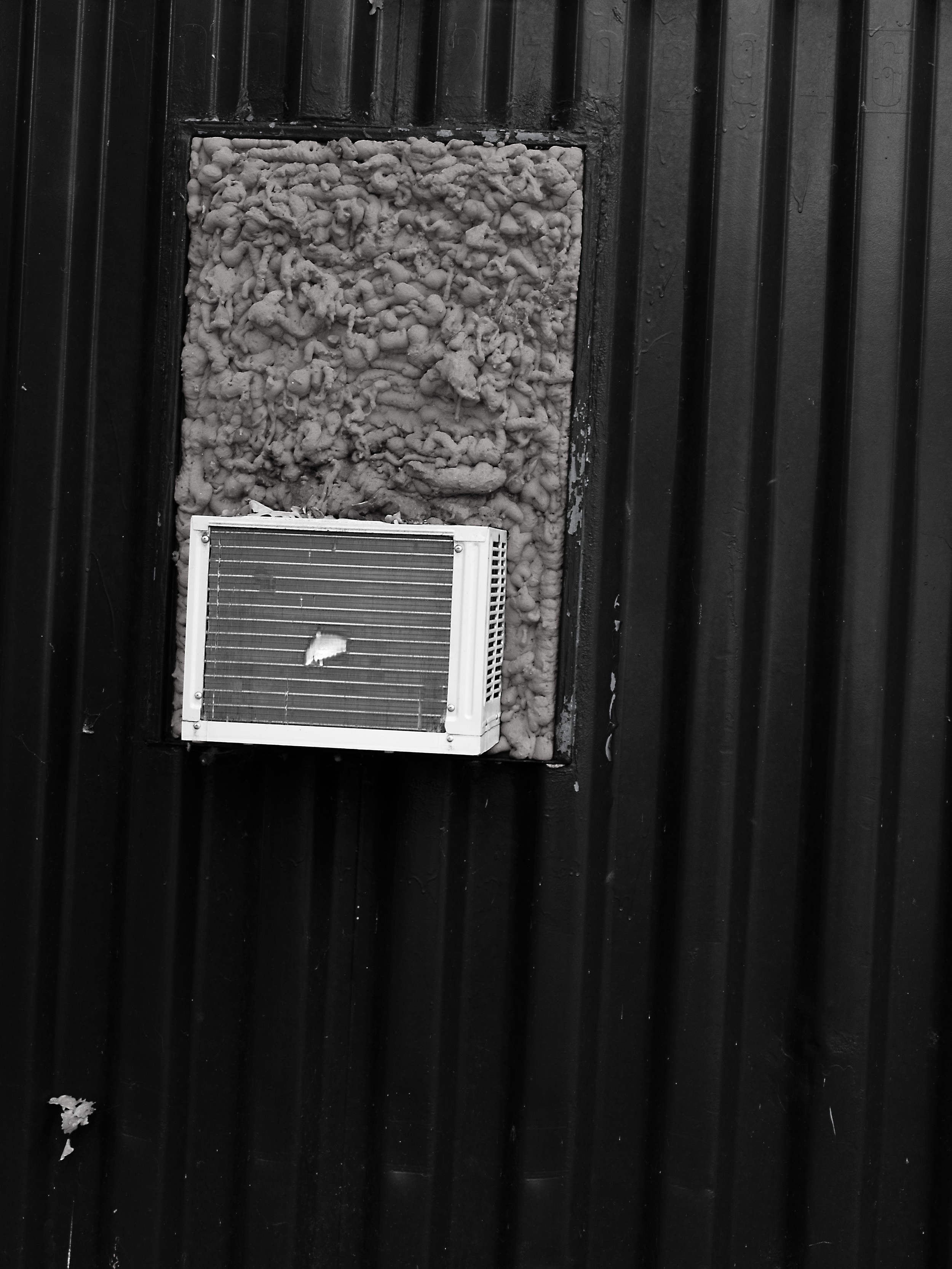 _1019864 copy as Smart Object-1.jpg