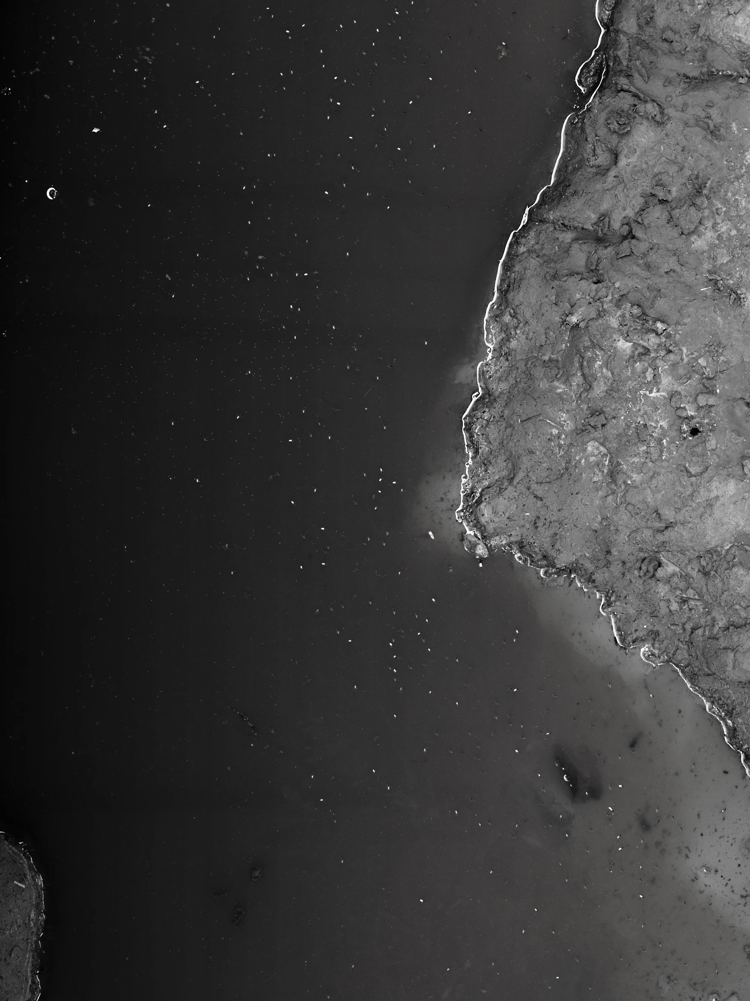 _1019959 copy as Smart Object-1.jpg