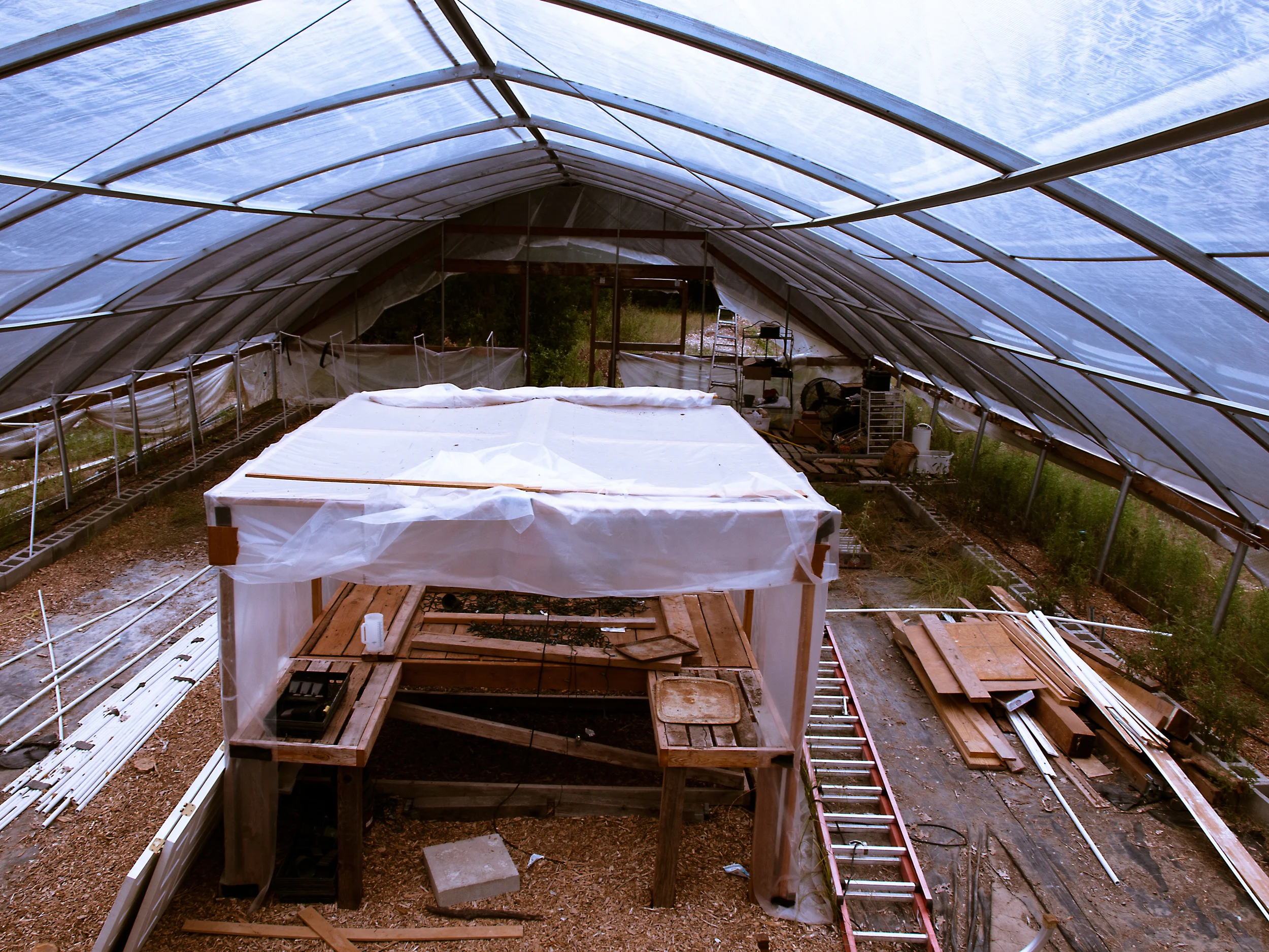 _1019869 copy as Smart Object-1.jpg