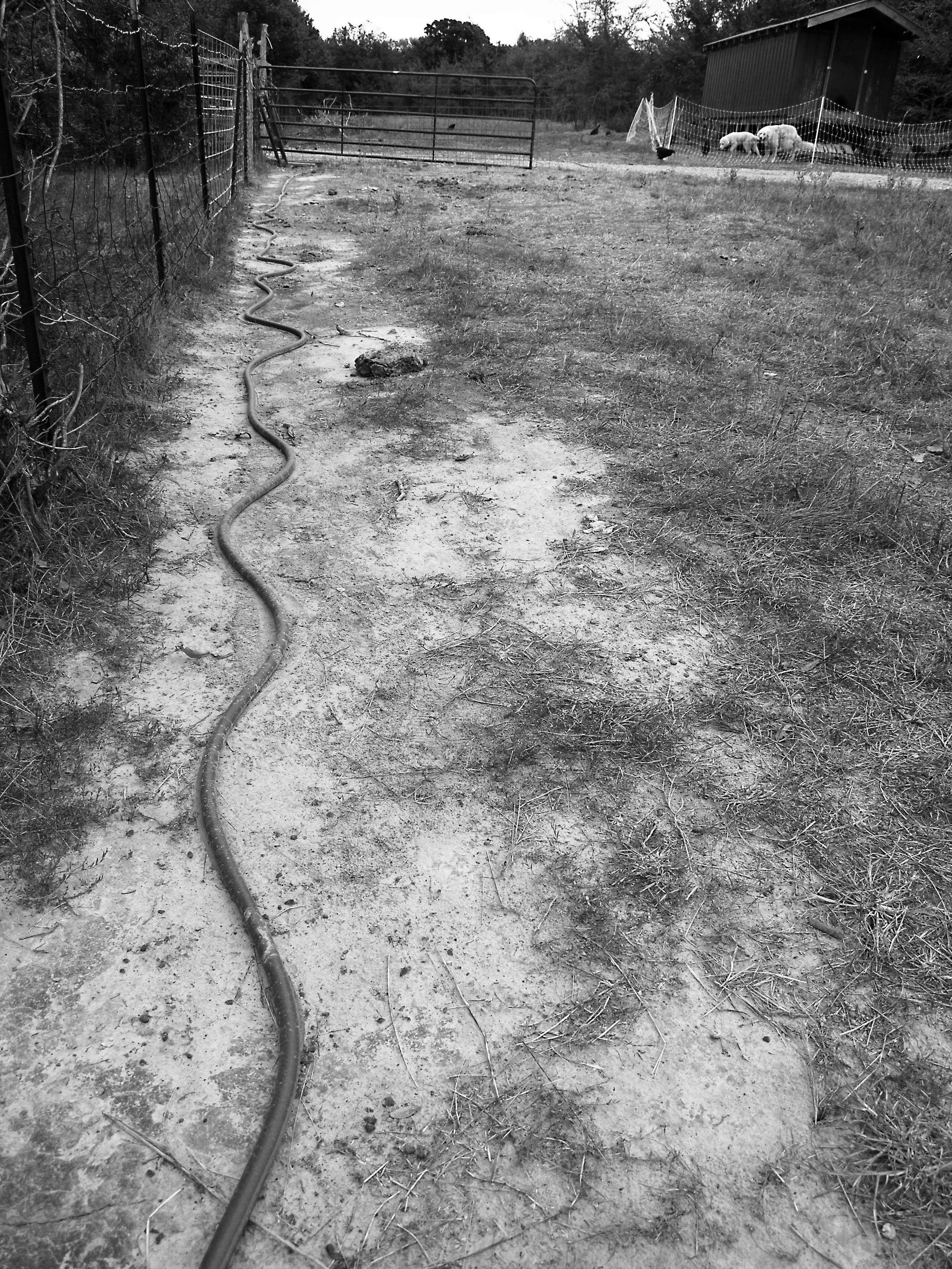 _1019897 copy as Smart Object-1.jpg