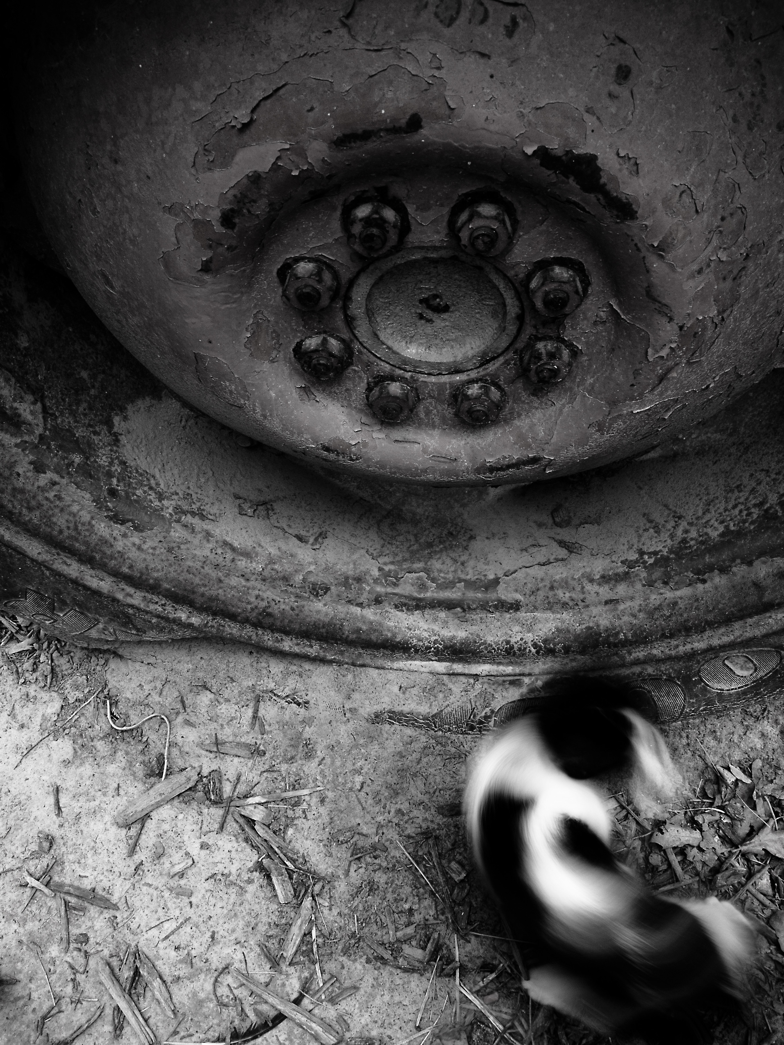 _1019842 copy as Smart Object-1.jpg