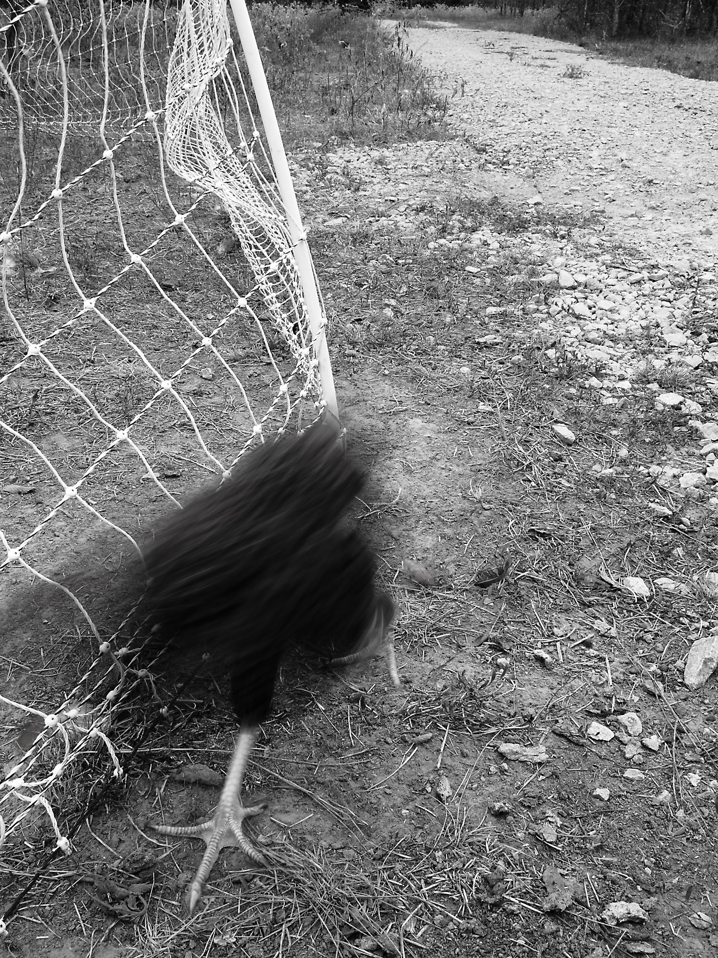 _1019789 copy as Smart Object-1.jpg