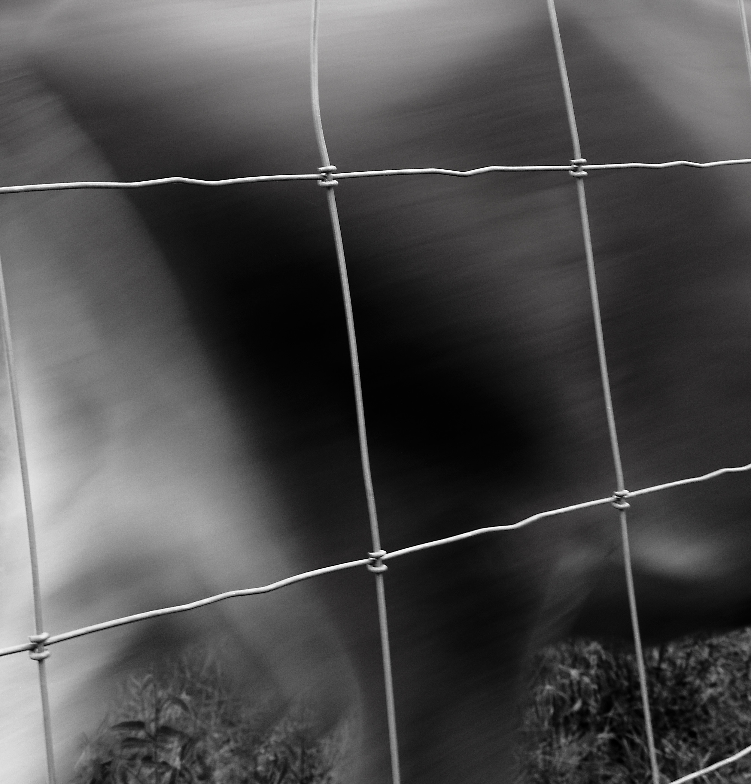 _1019768 copy as Smart Object-1.jpg