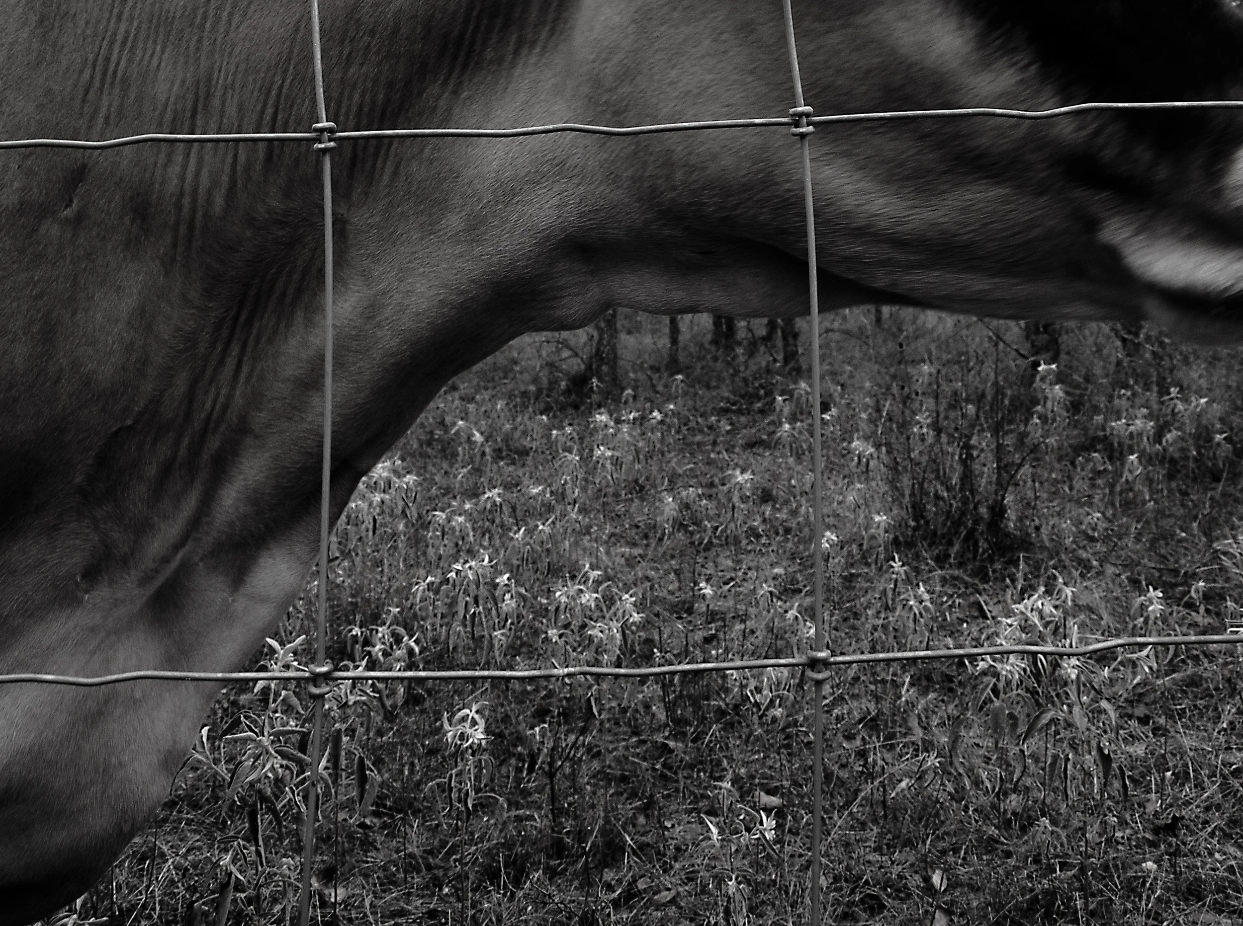 _1019764 copy as Smart Object-1.jpg