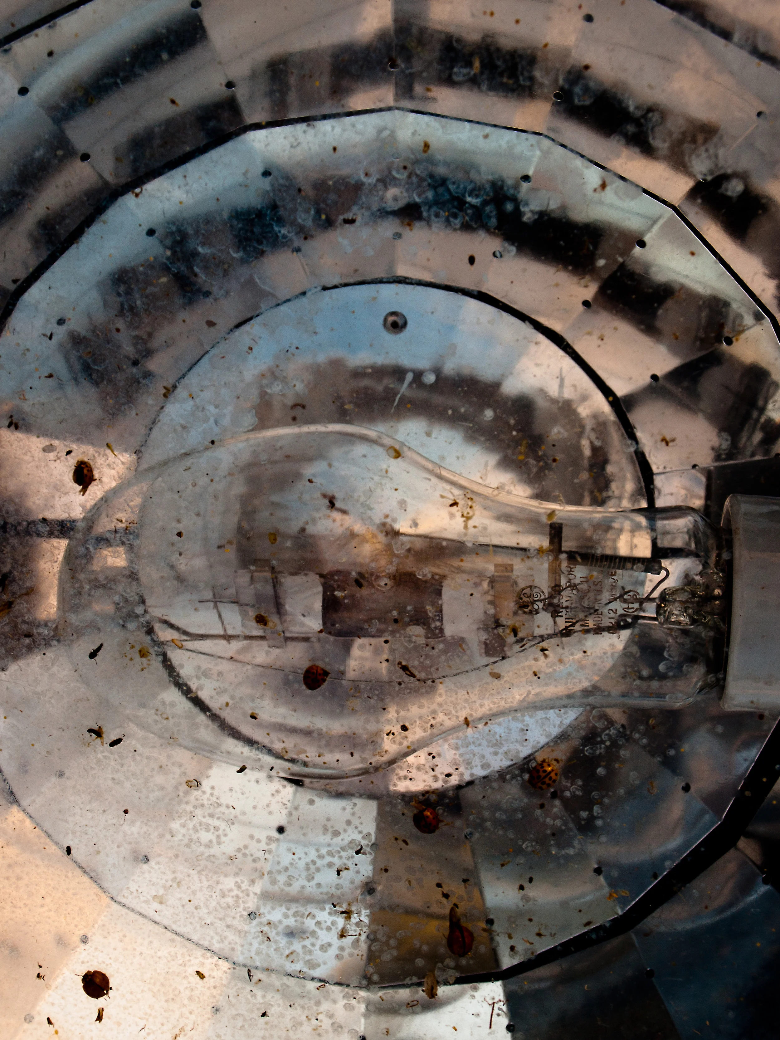 _1010372 copy as Smart Object-1.jpg