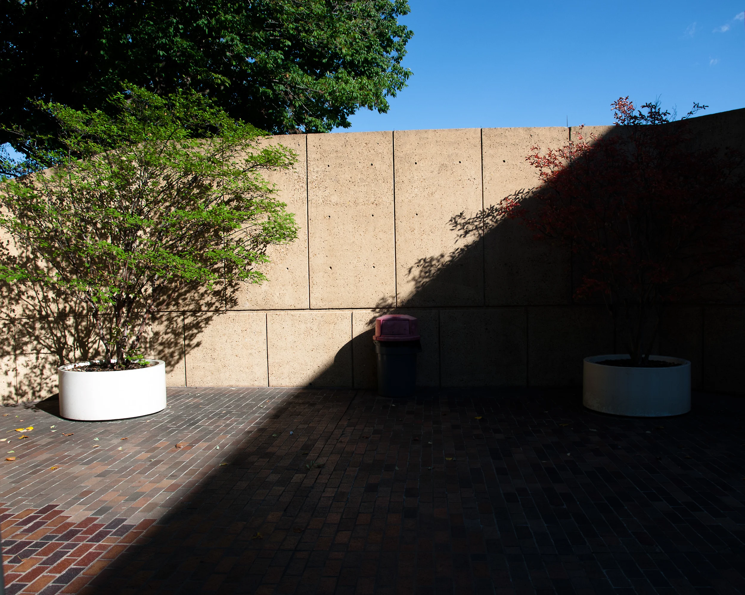 _1010899 copy as Smart Object-1.jpg