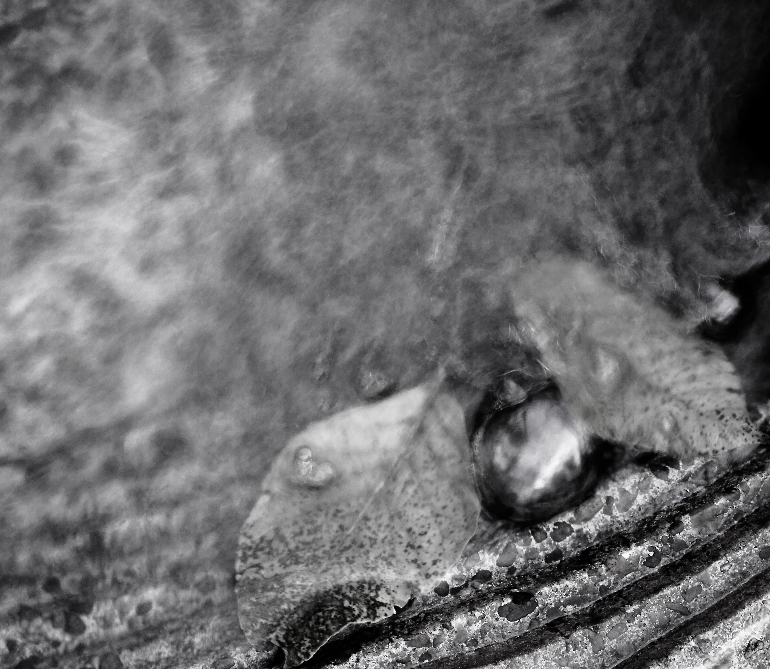 _1010886 as Smart Object-1.jpg