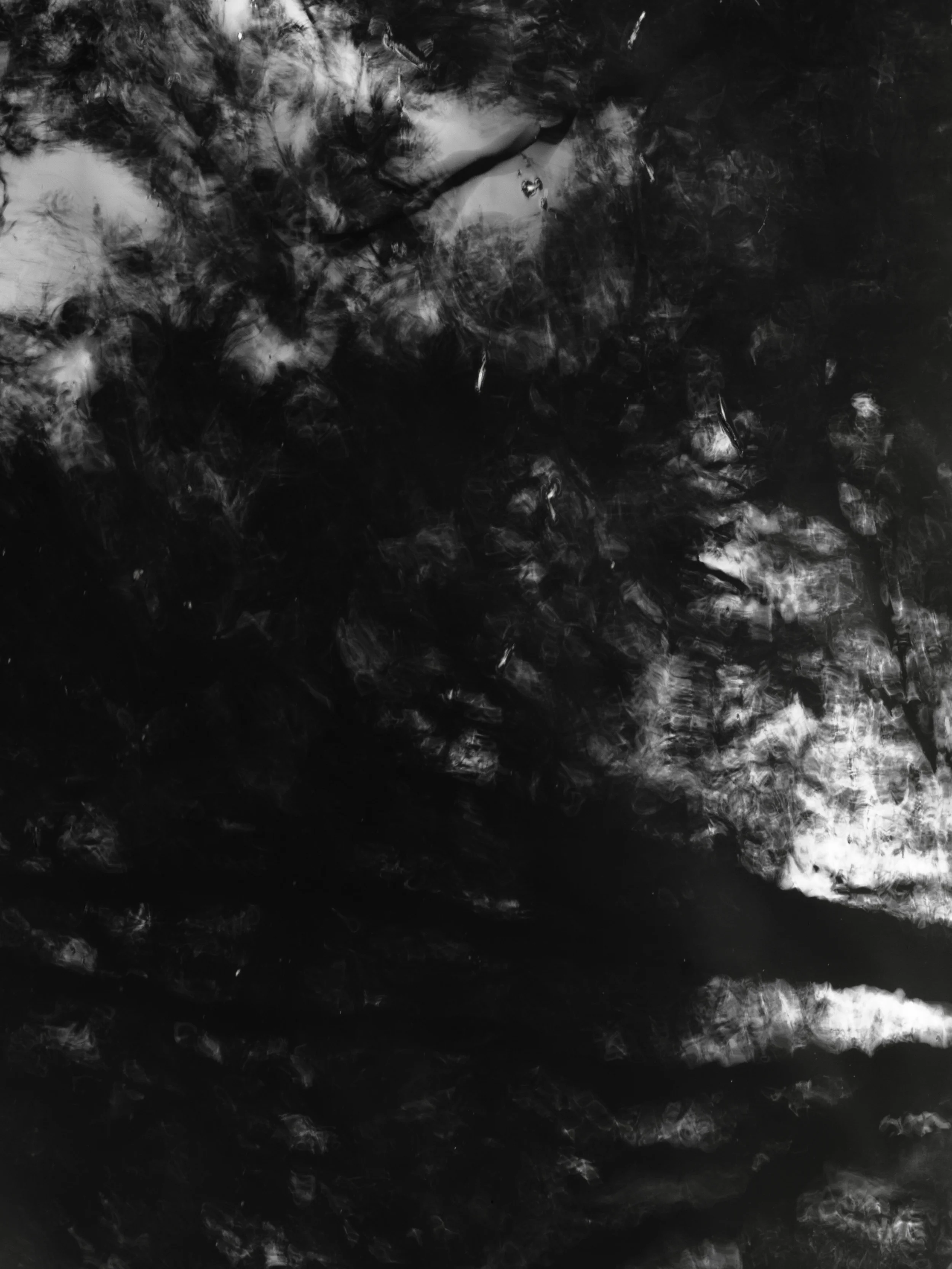   fall-1-2014-untitled-8  