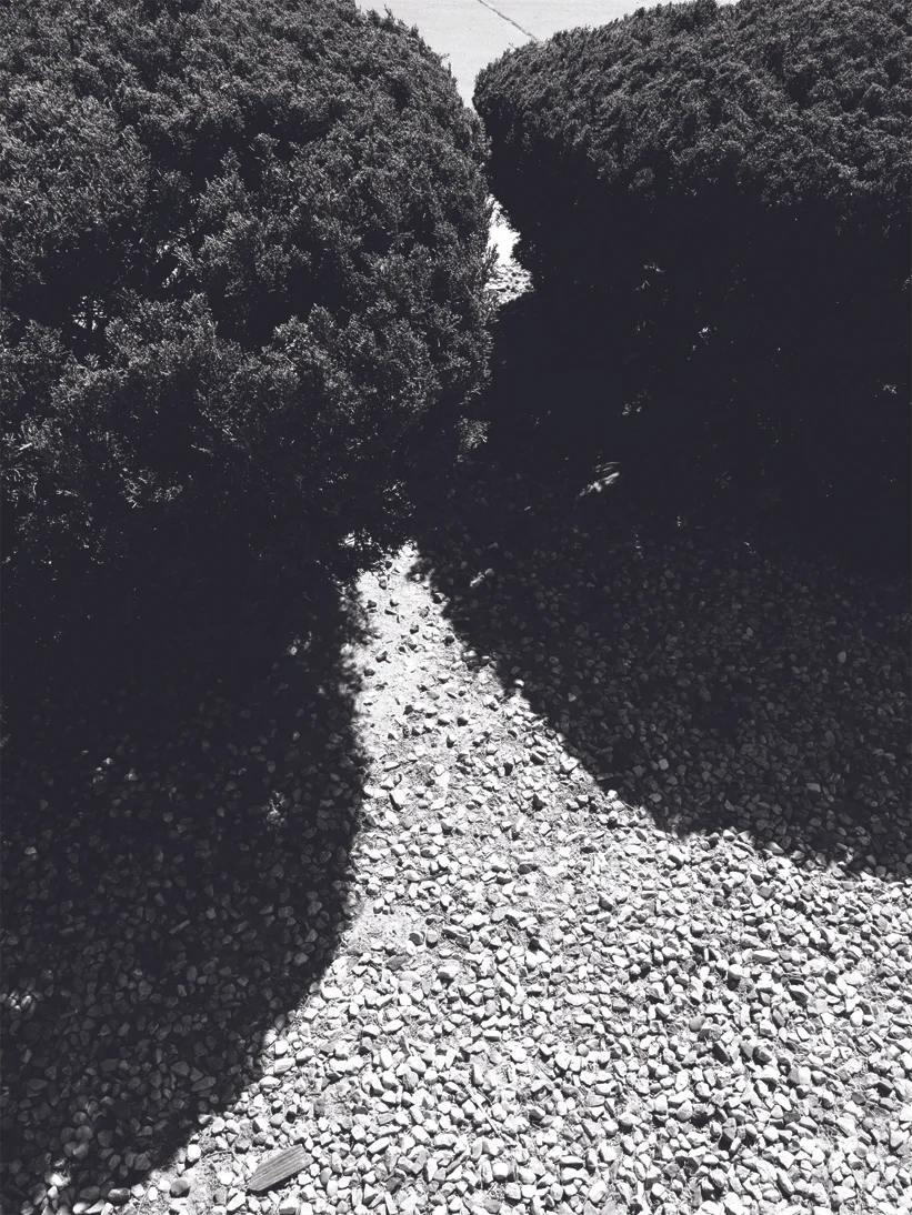 _1011750 as Smart Object-1cmky.jpg