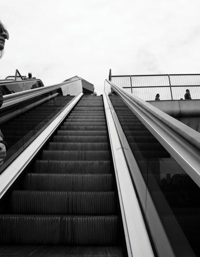 Spring 2 - Top Left Didn't Even See Him Coming.jpg