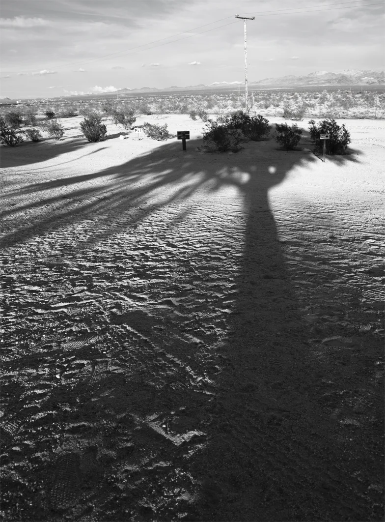 rest stop tree shadow 10.5by14.5.jpg