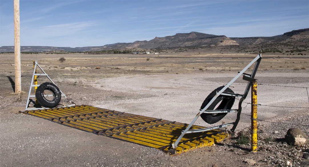 spring 1 2019 route66 yellow cattle grid 15x8 .jpg