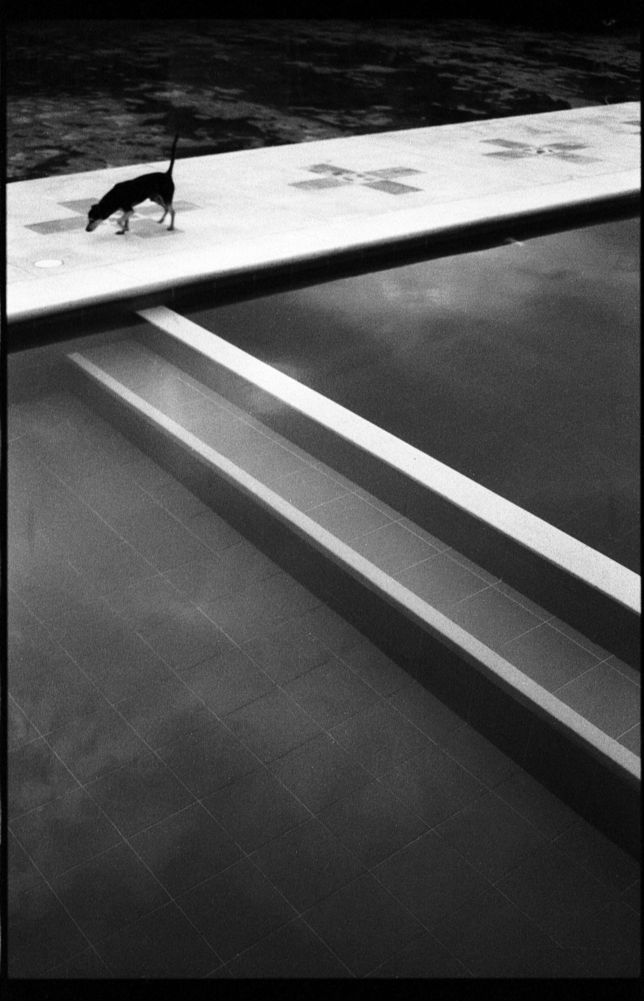 Image 7.jpg