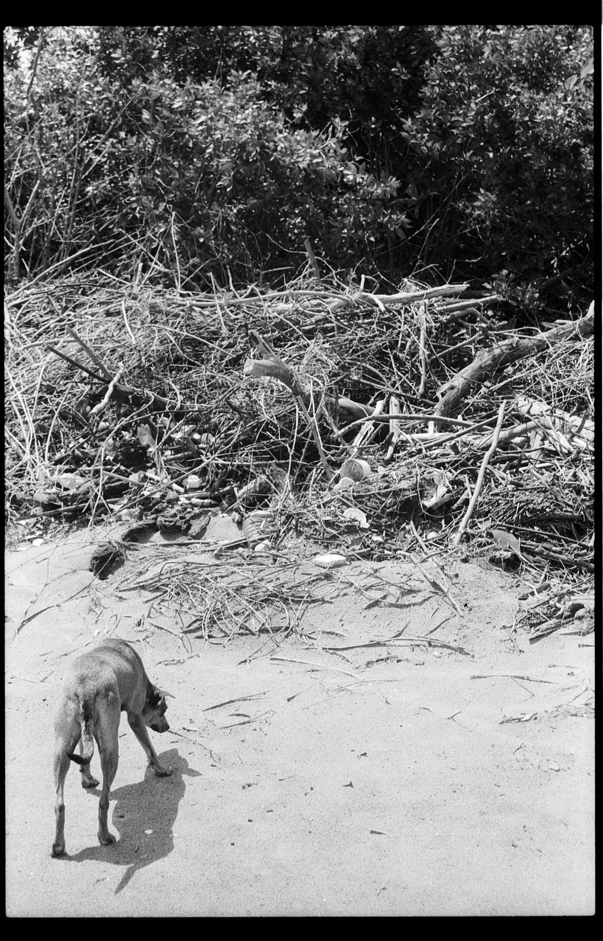 Image 5.jpg