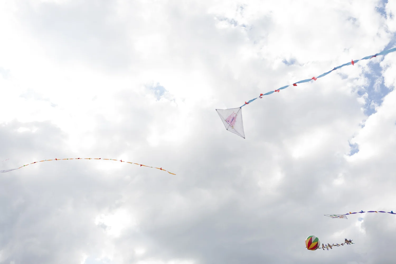 20110508_053.jpg