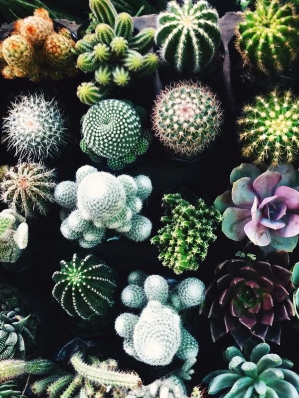 DIVERSITY IS A SUPER POWER. Diversity in ideas and experience lead to true ingenuity.