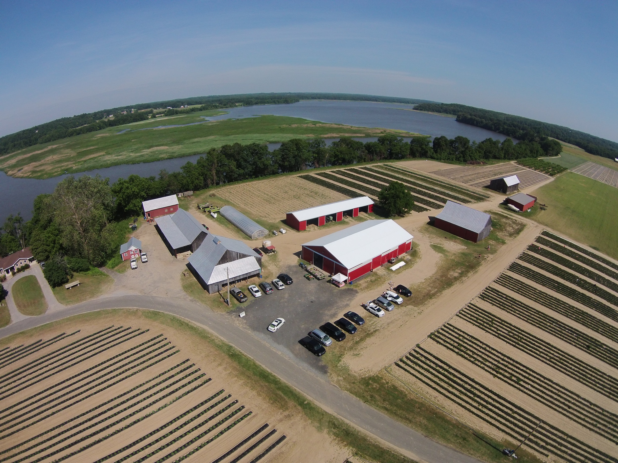 Thanks G. Scott Taulbee @ http://pixeloverhead.com for the aerial view of our u-pick patches.