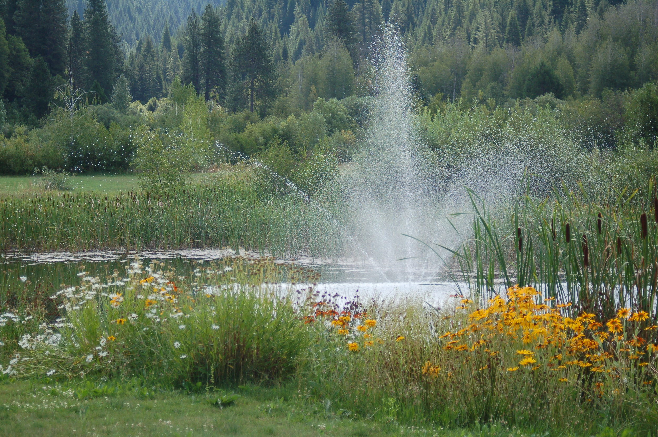 pond fountain.jpg