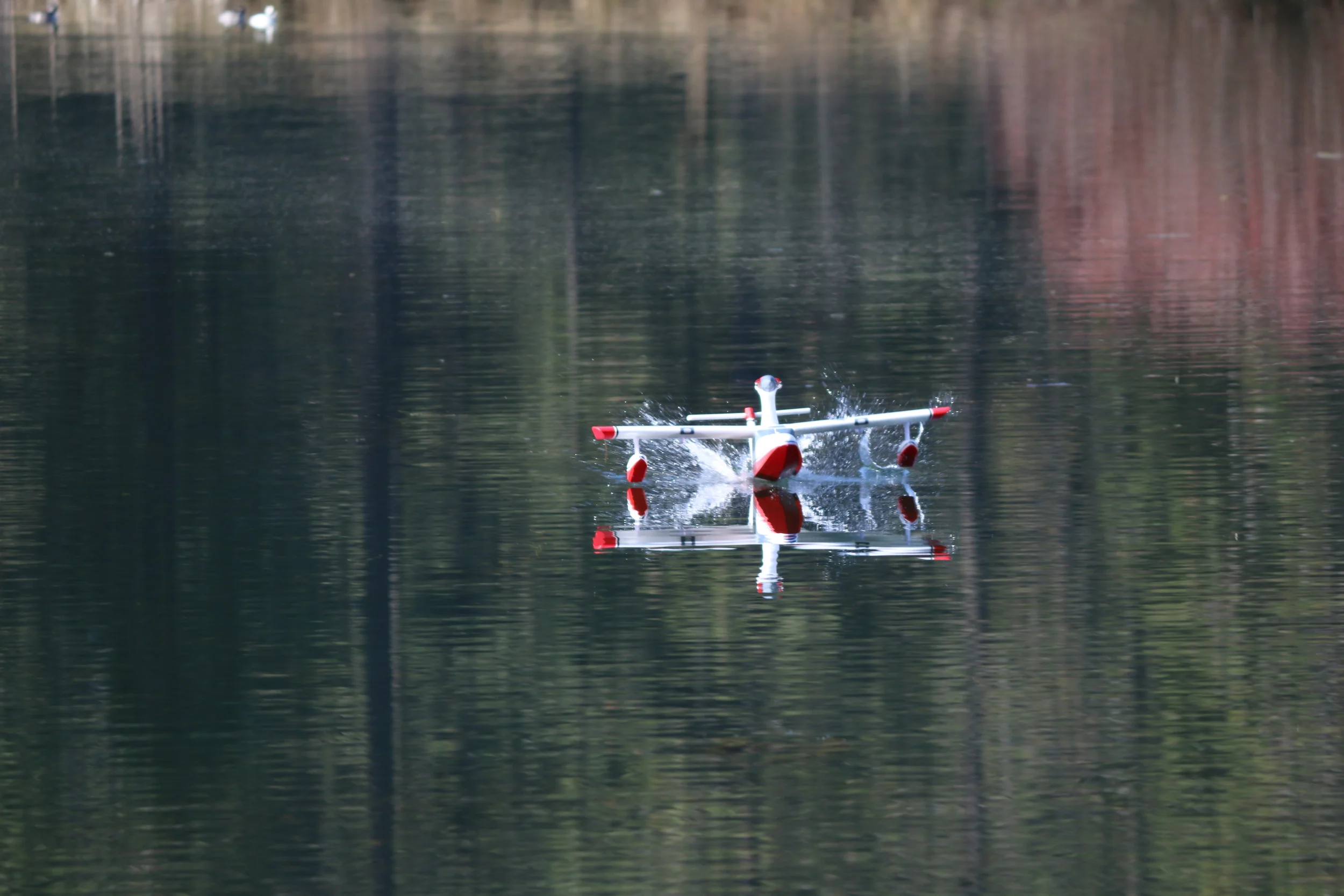 RC Pond.jpg
