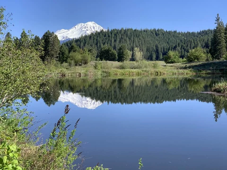 pond house view.jpg