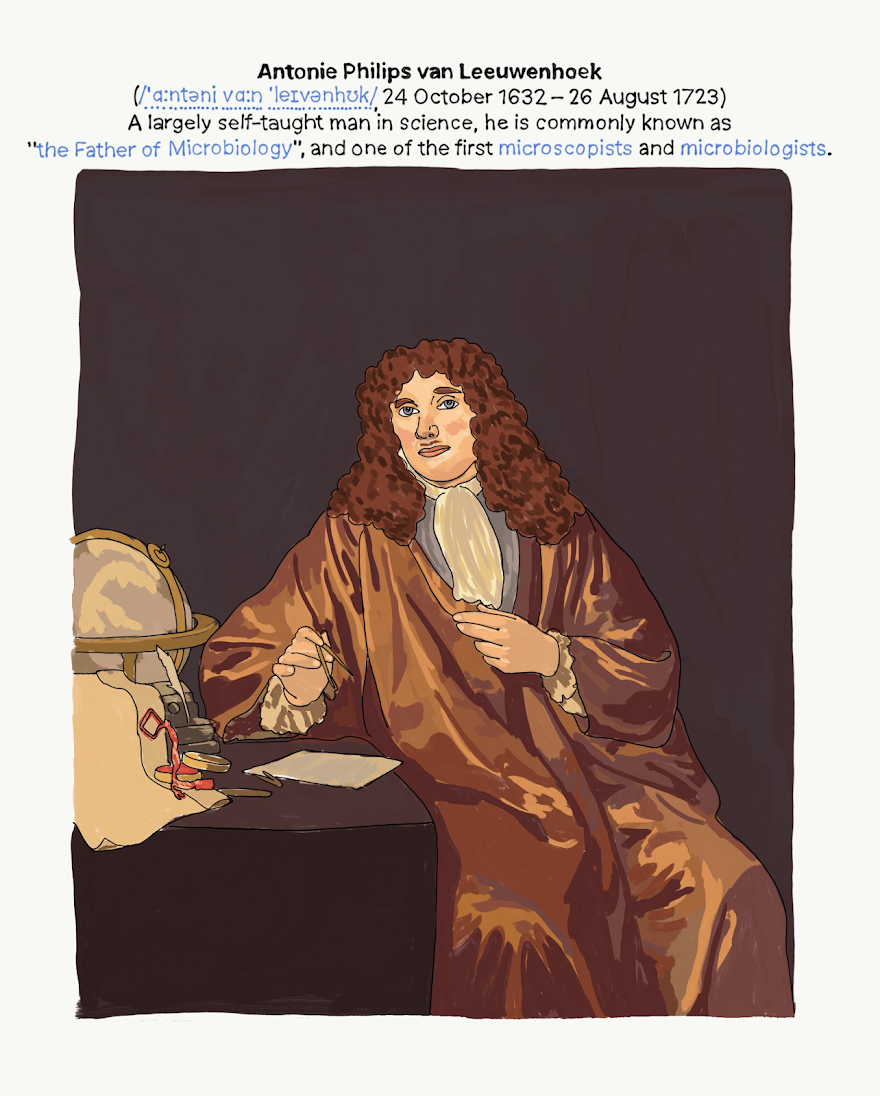 vanleeuwenhoek_wiki.png
