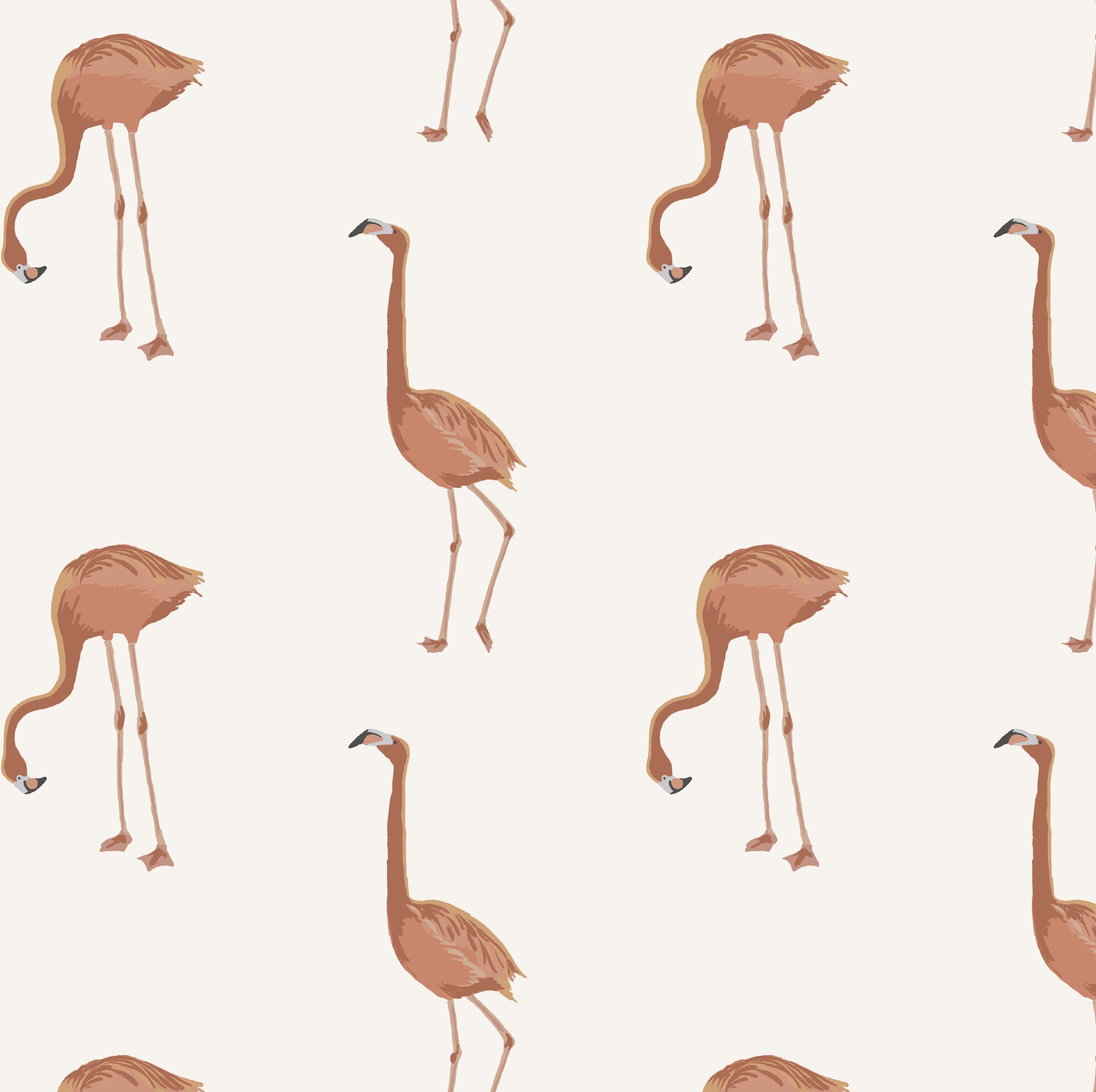 0000_LalooFlamingos.JPG