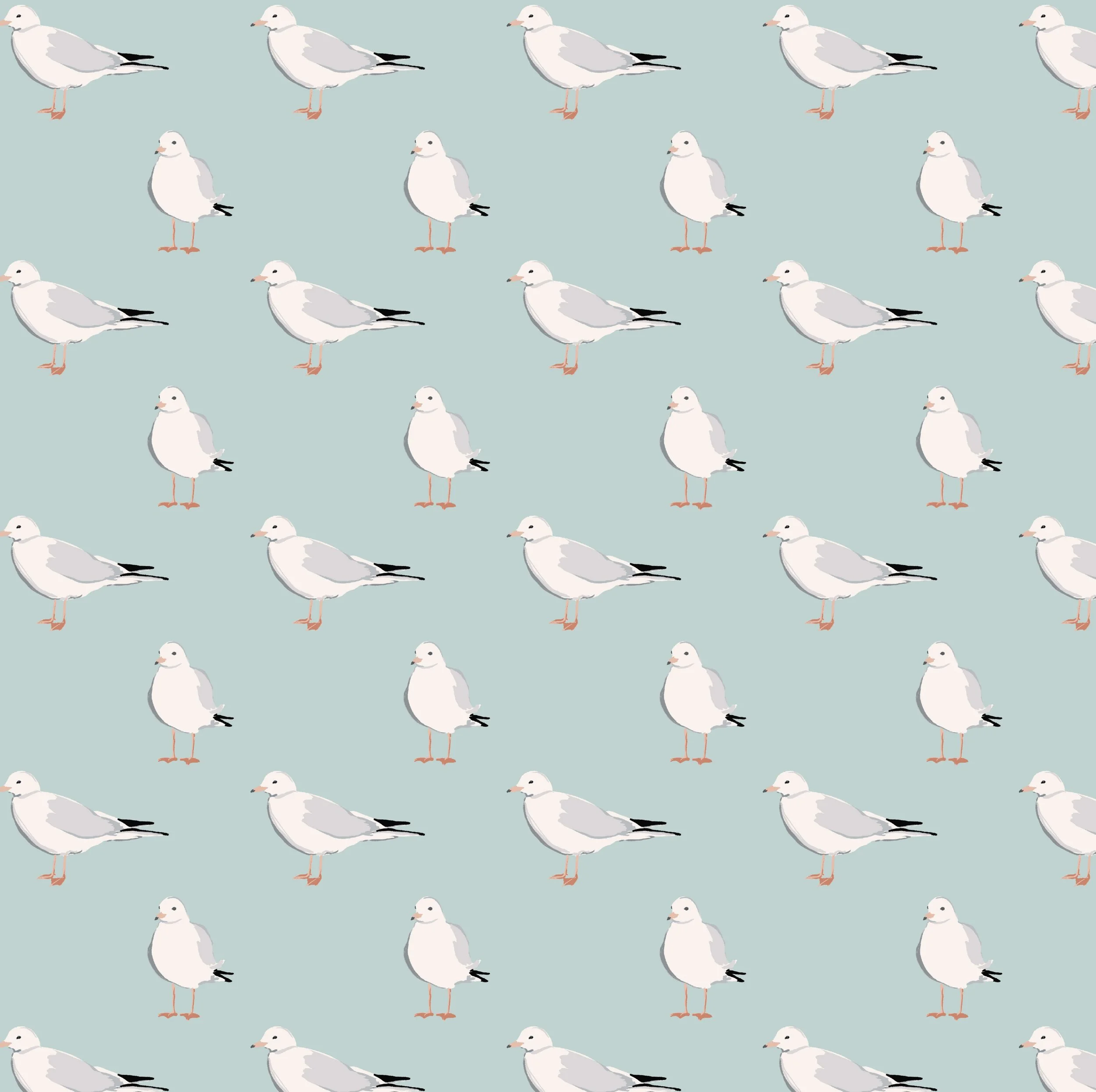 0000_GabbianoSeagulls.JPG