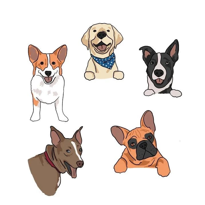 0000_FiveDogs.JPG