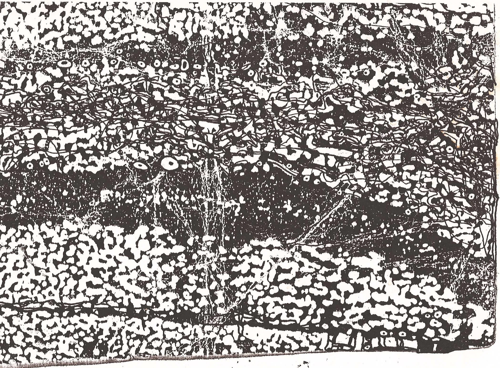 Scan0152.jpg