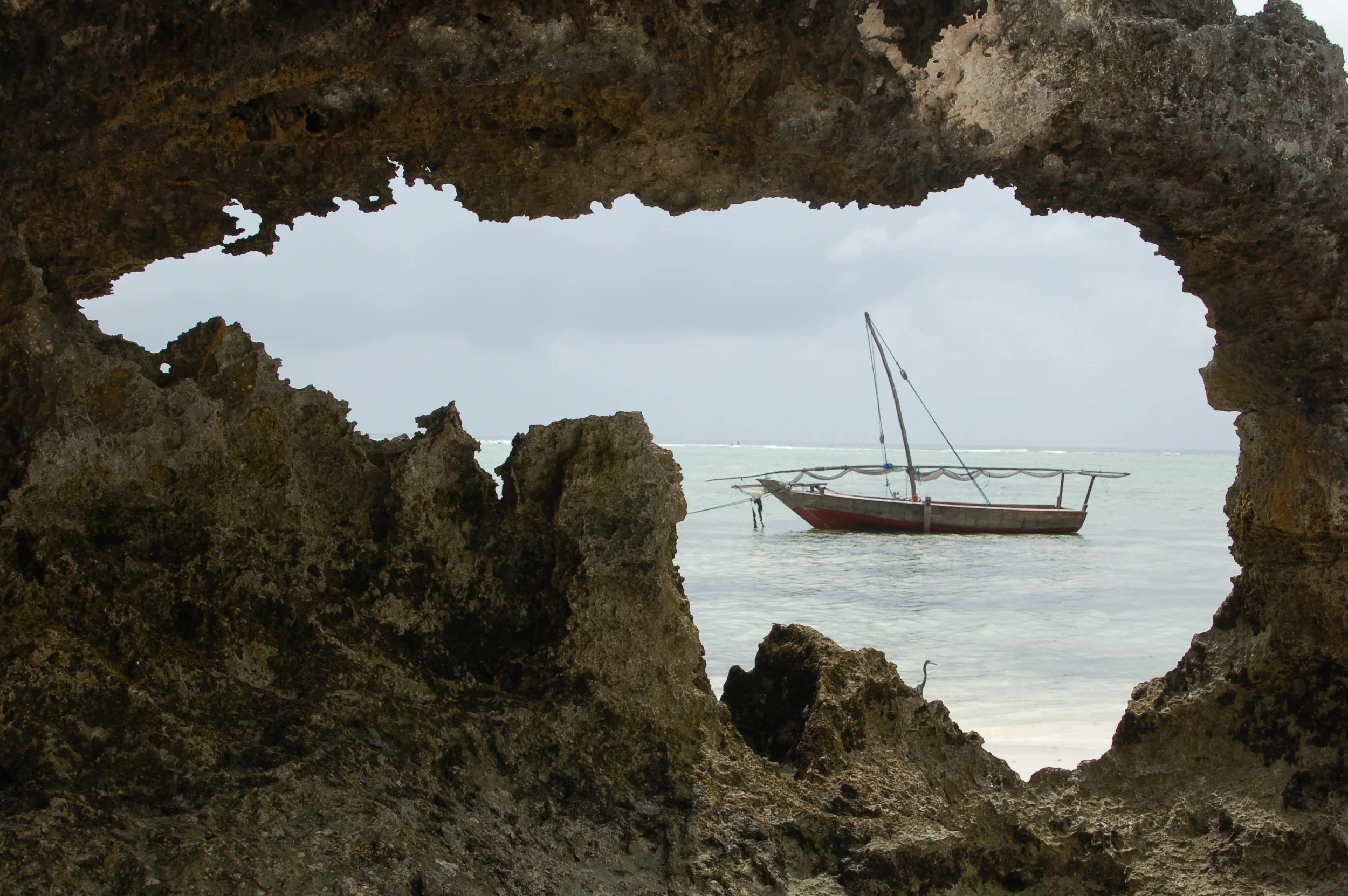 Zanzibar Extension, Serengeti Northern Safari—Tanzania