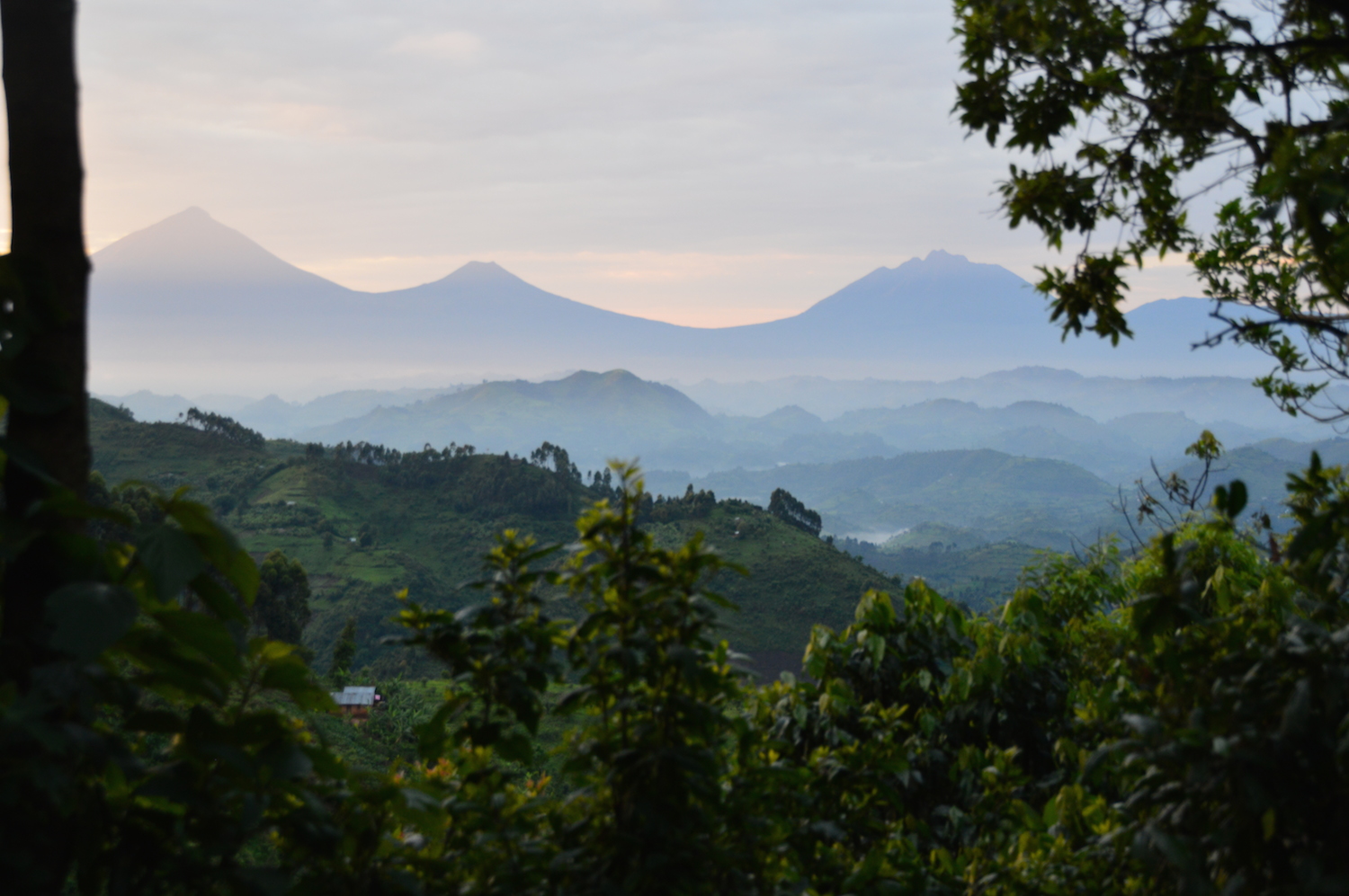   &nbsp;    &nbsp;    &nbsp;    &nbsp;    &nbsp;    &nbsp;    &nbsp;    Uganda &amp; Gorilla Trekking    ⬇︎  