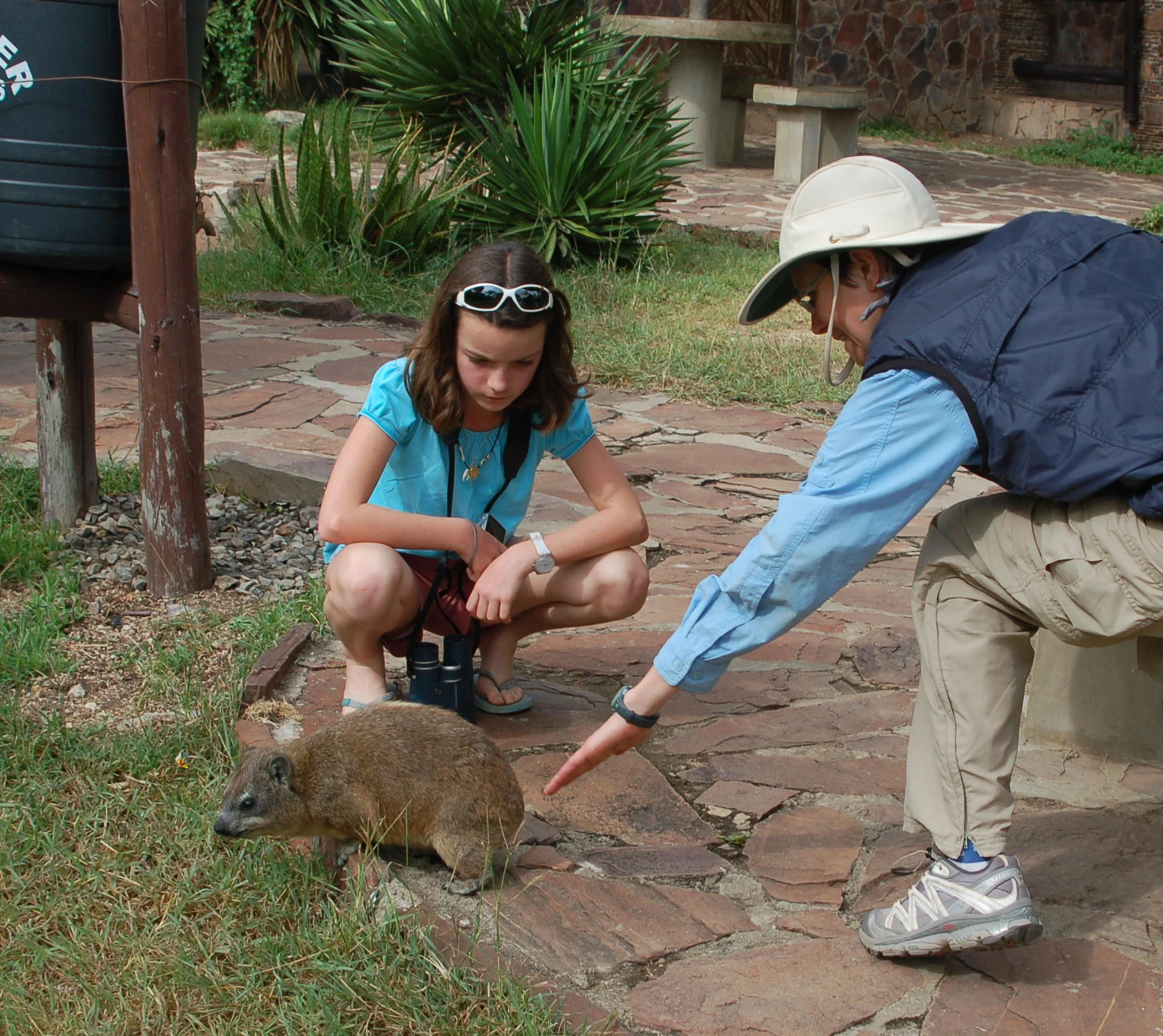 GenSafaris new itinerary 2016 Safari