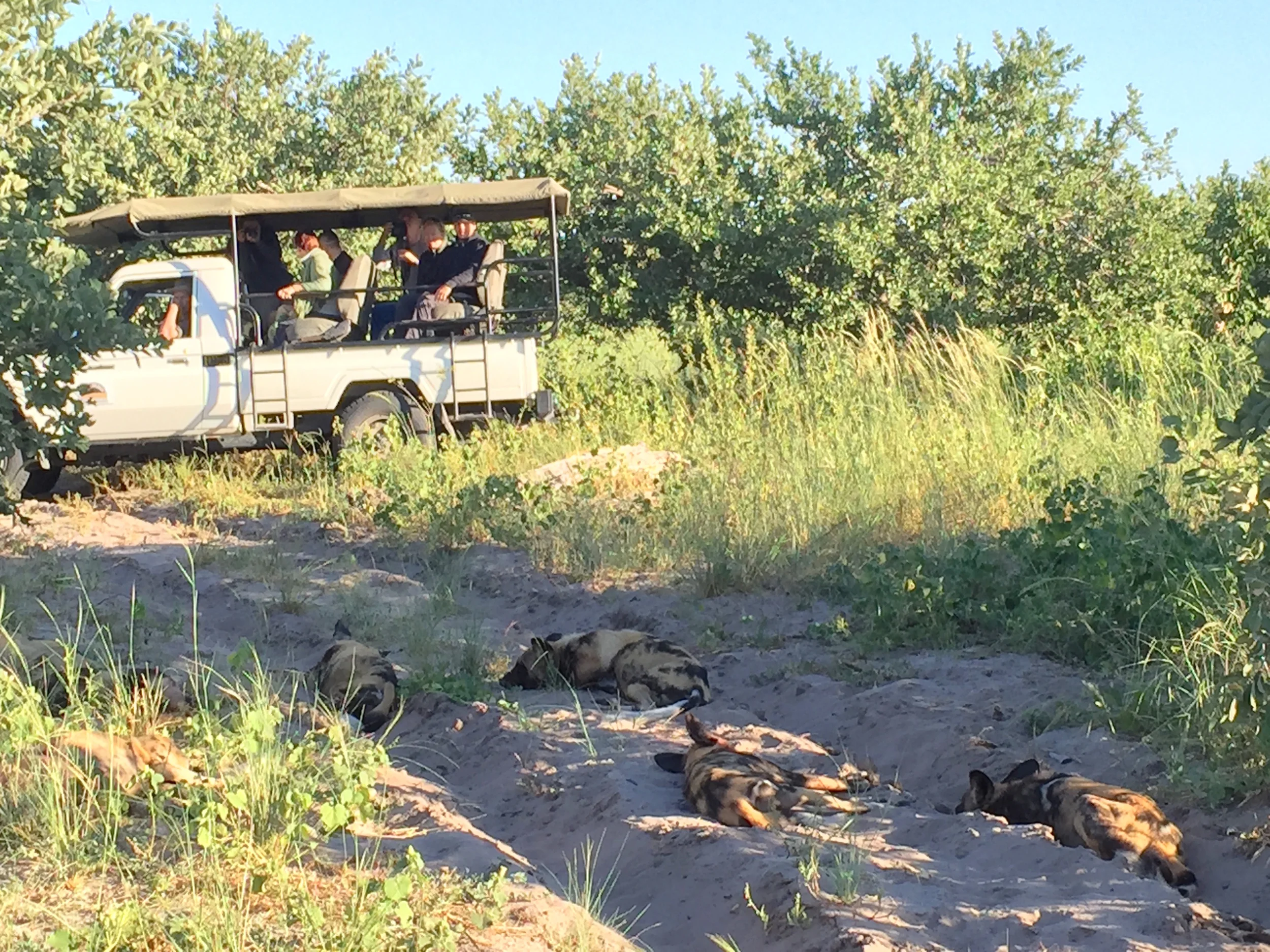 Carol Gurney with GenSafaris Tanzania October 2016 Come Join us!