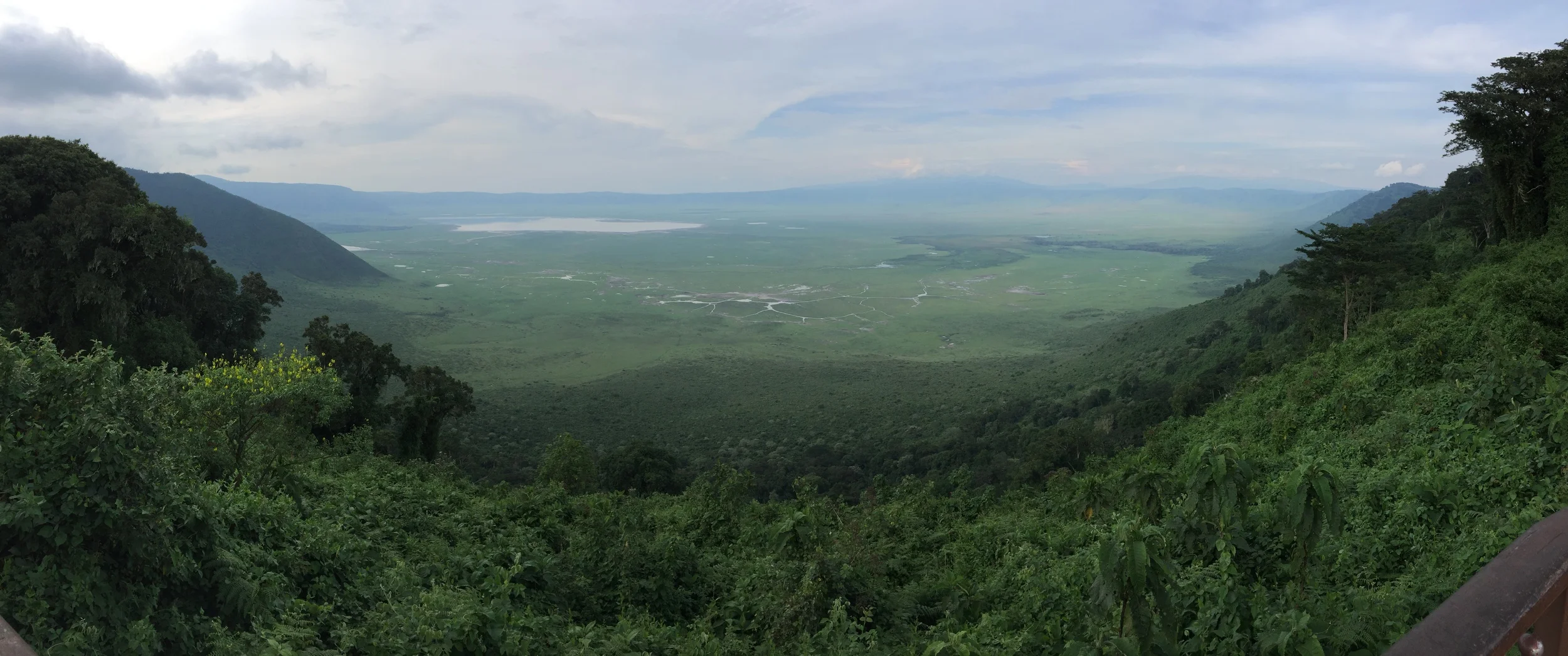 Black Rhino's in Ngorongoro Caldera