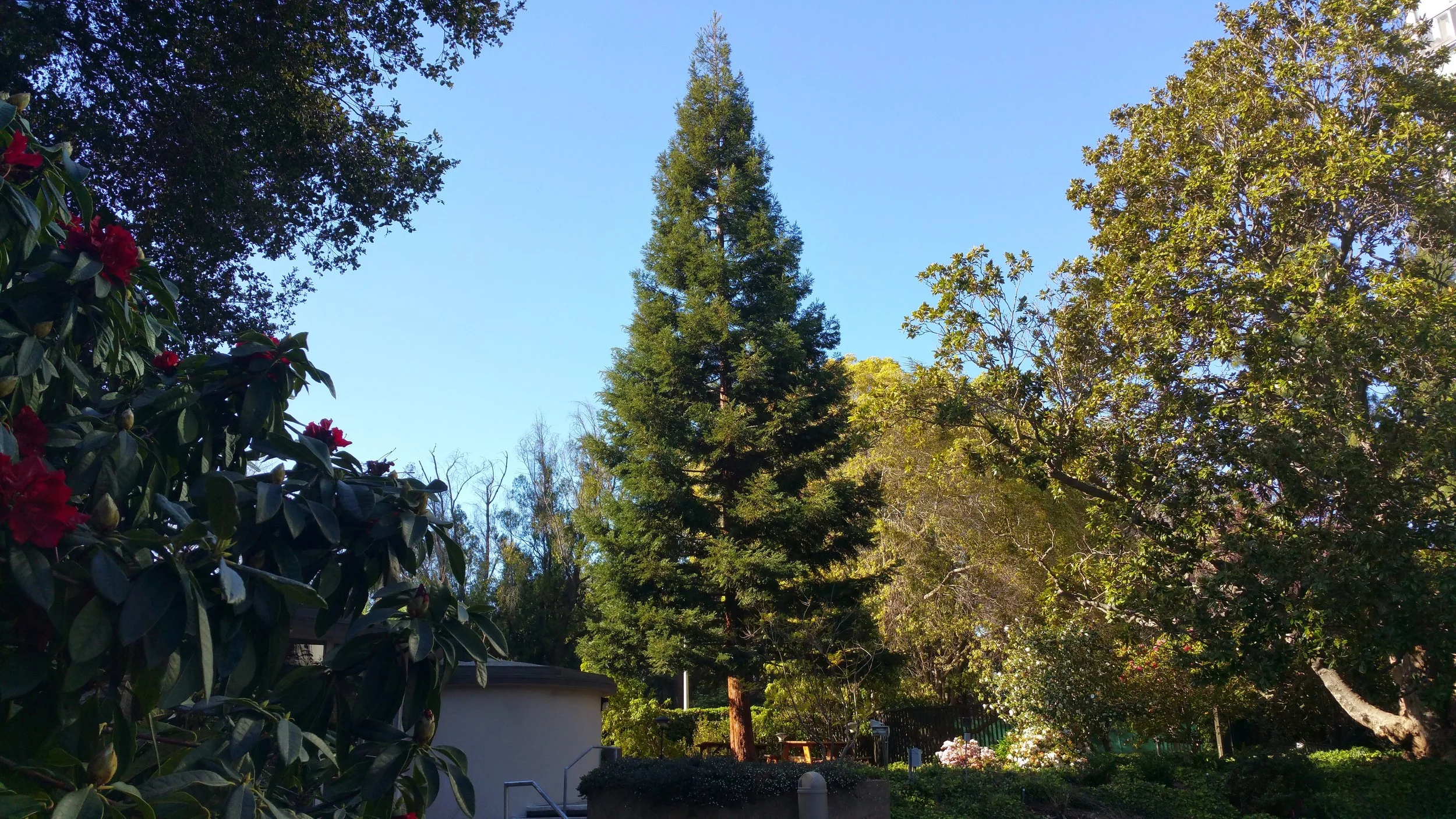 20150307_153119.jpg