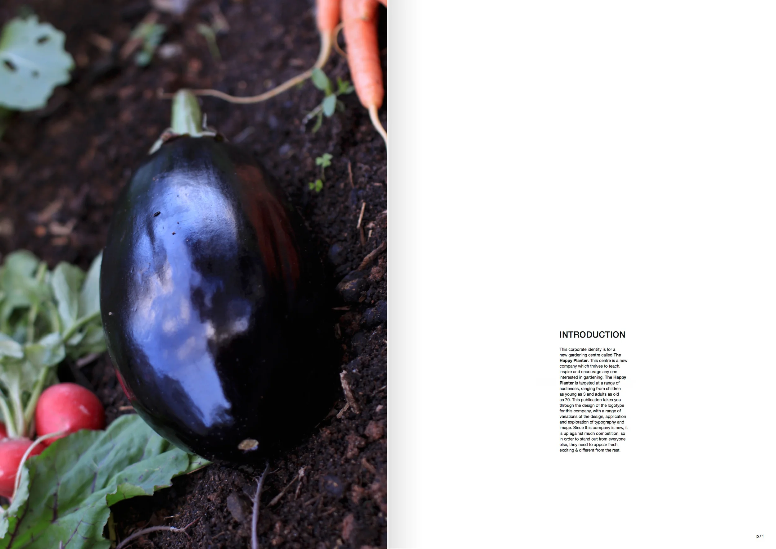 Spreads-01.jpg