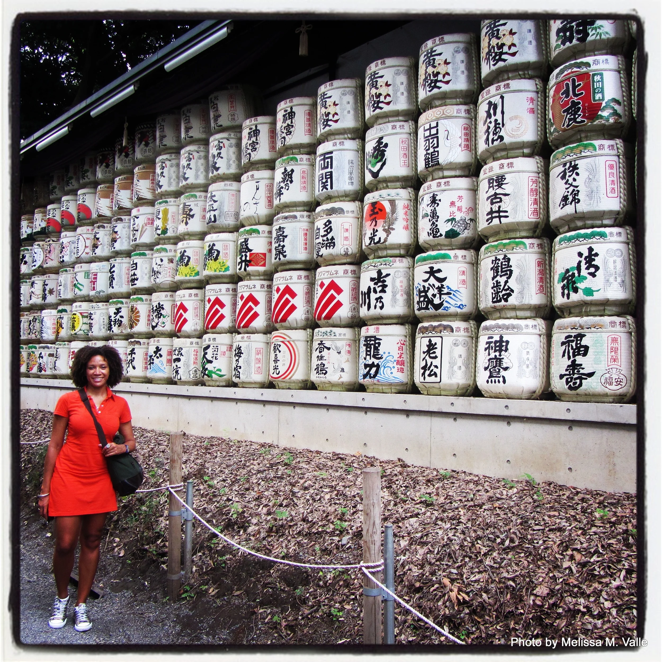 The &quot;Oh Sh**, I Traveled To 10 Countries In 2014&quot; Review- Part 7- Yokohama &amp; Tokyo(#9 Japan)