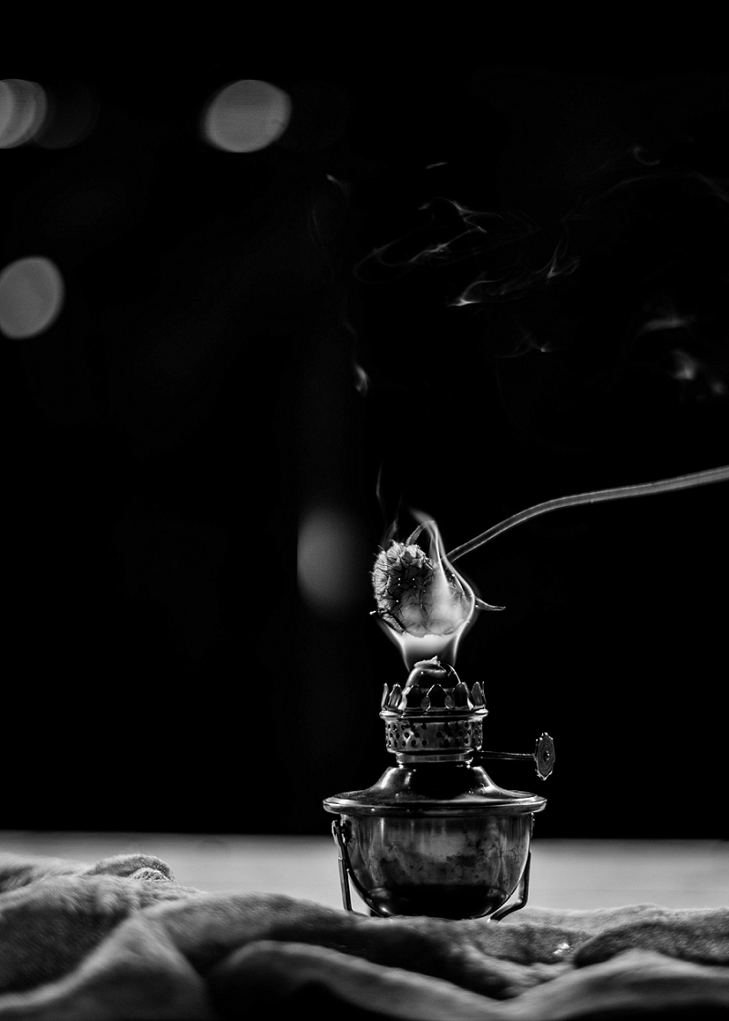 HaleyNordPhotographyWeddingRomantic_2359.jpg