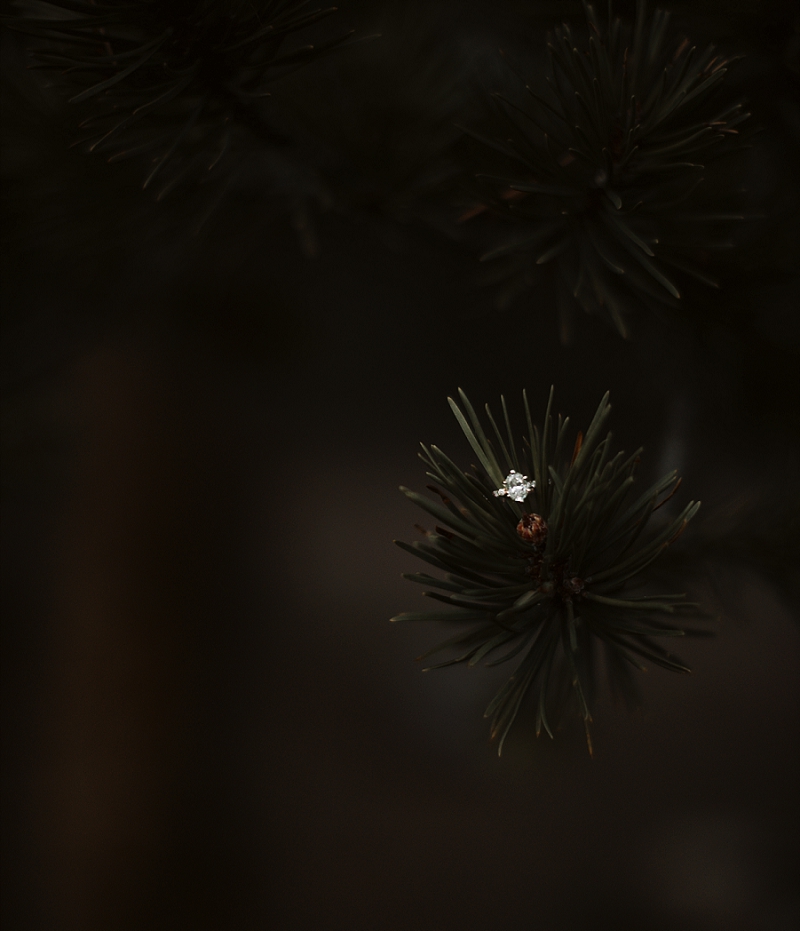 HaleyNordPhotographyWeddingRomanticUintahEngagementsAdventureUtah (28).jpg