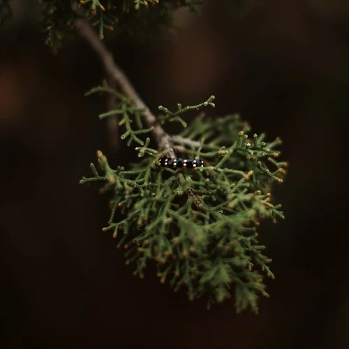 Haley-Nord-Photography-Moab-Engagement-Utah-Photographer-Castle Valley_0652.jpg