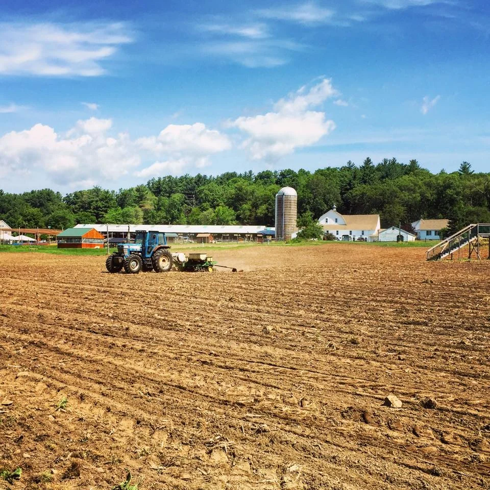 Field Planting.jpg