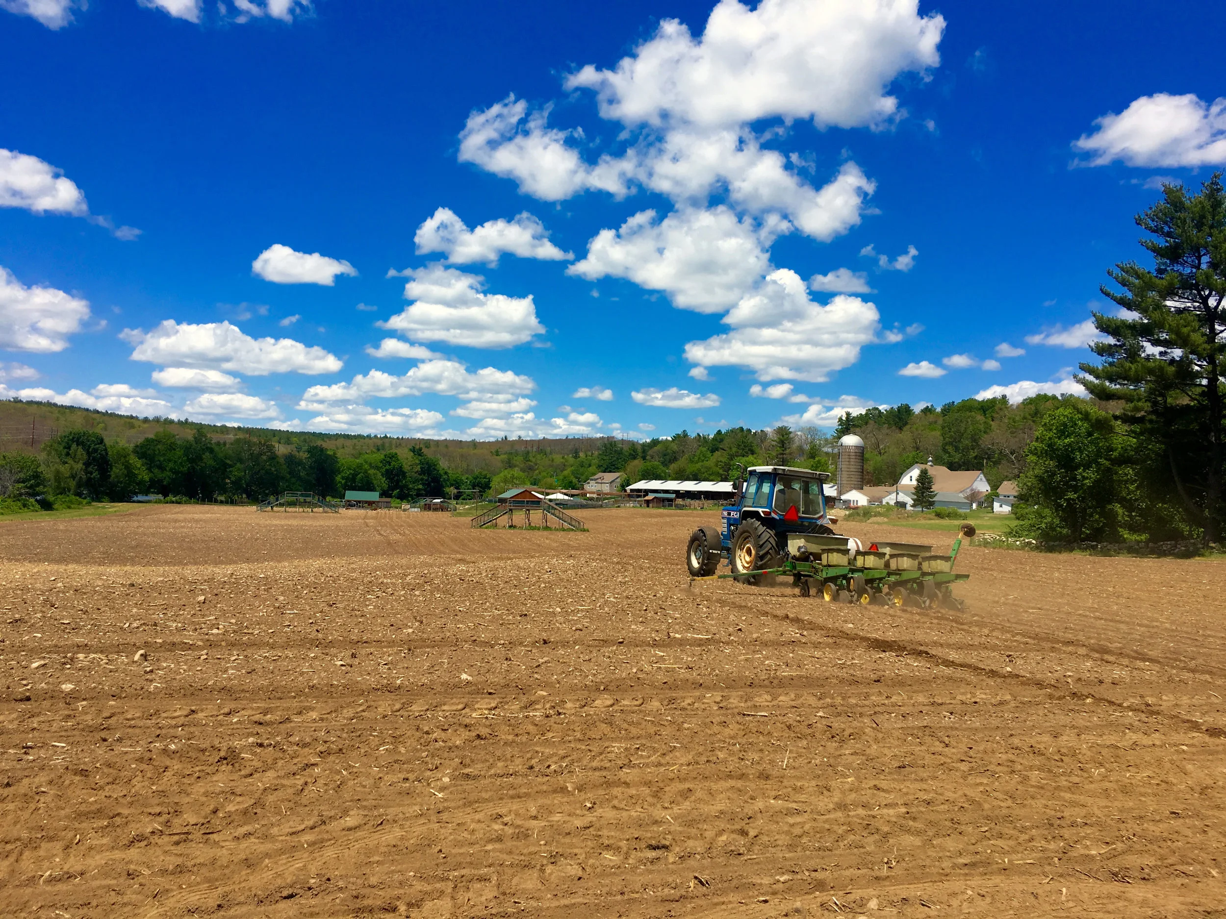 Planting 2016.jpg