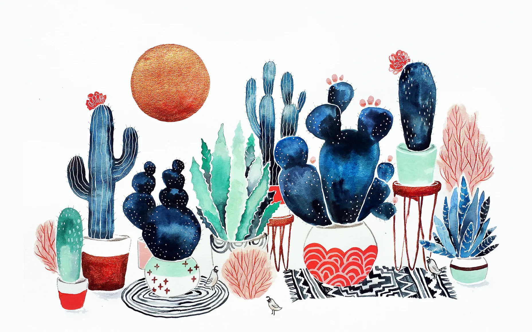 cactusmontage.jpg