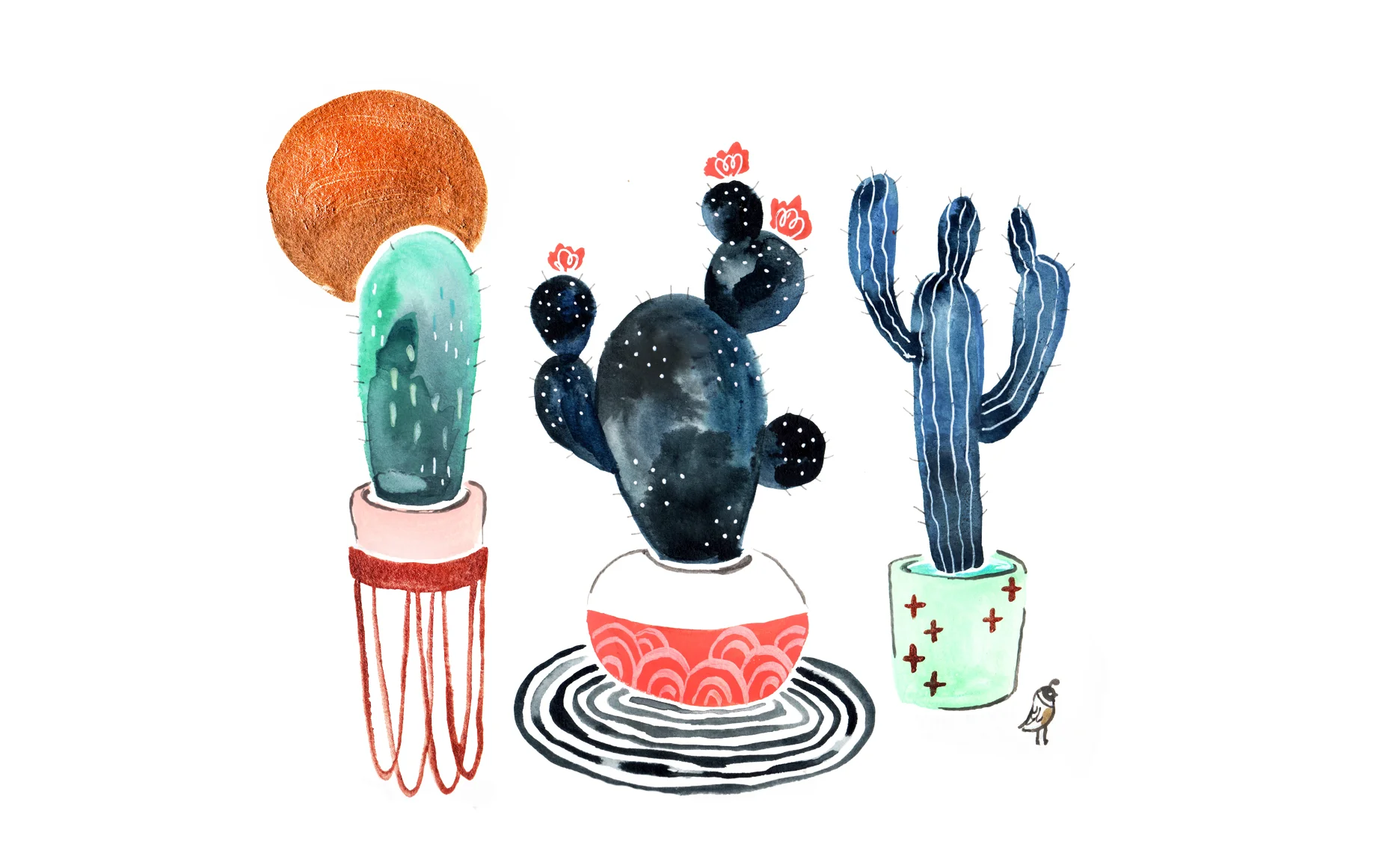 cactii trio.jpg
