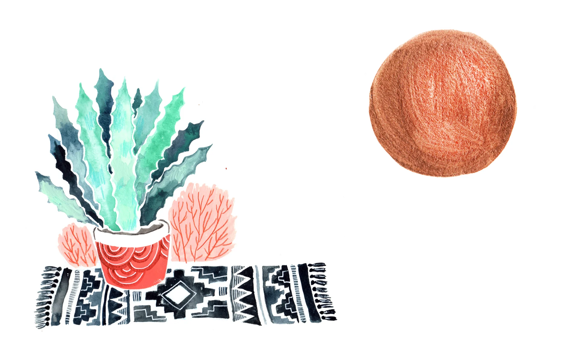 cactus & sun.jpg
