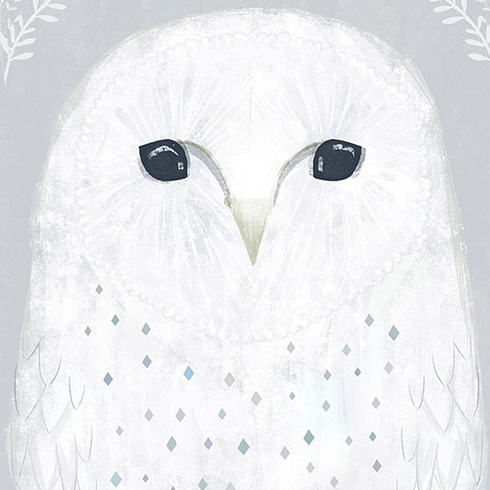 ciara_ni_dhuinn_silver_owl2.jpg