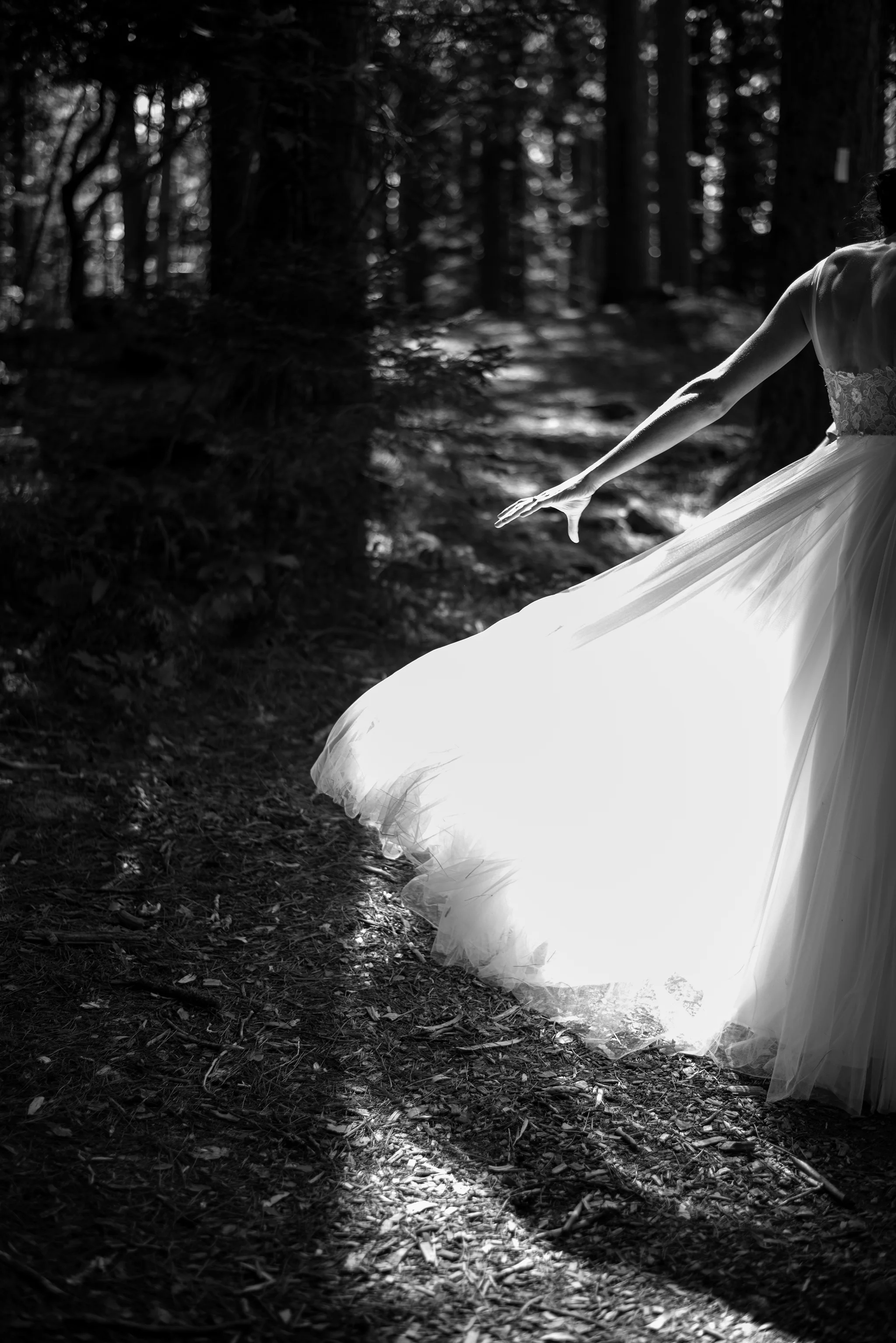 fleeting-moment-photography.jpg