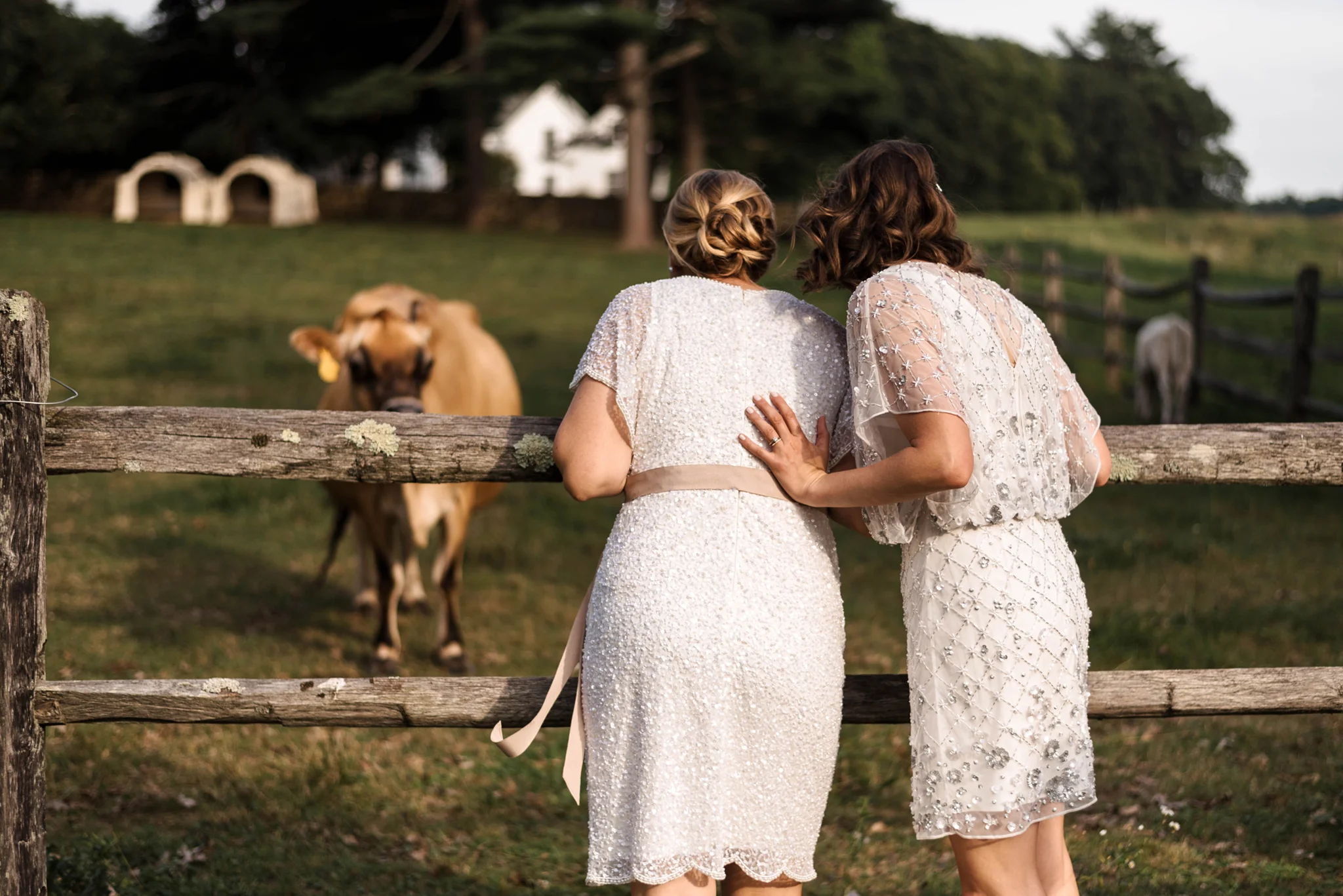 fun-wedding-photography-seattle.jpg