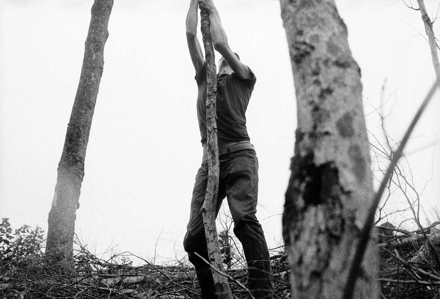 aug 13th, tree slaps and a tumble down a mountain