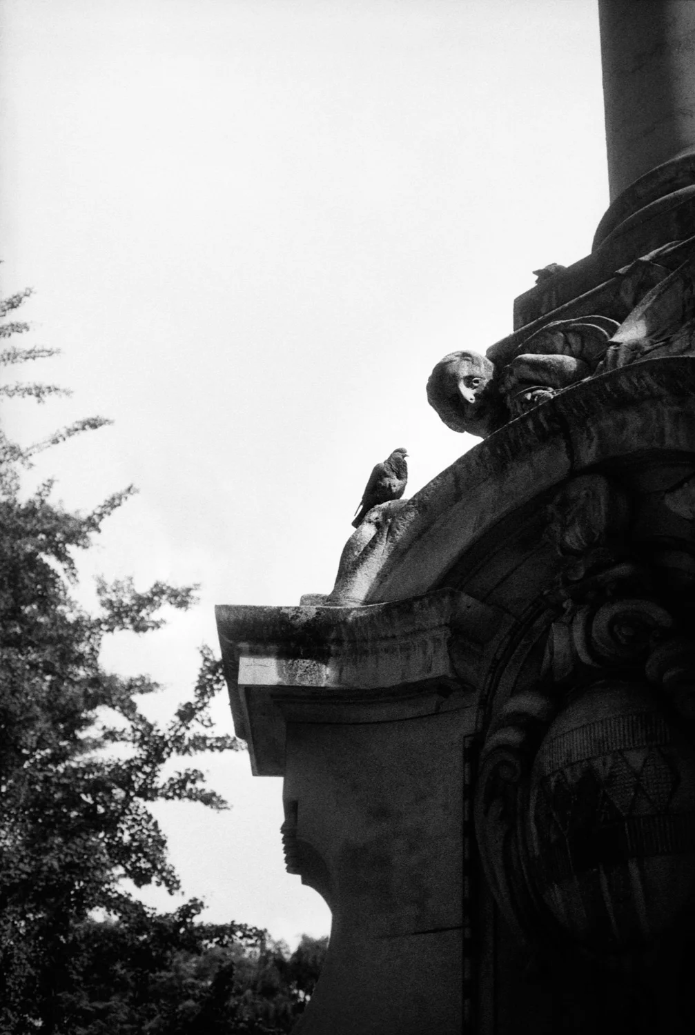 july 13th, partners, st paul (simon)